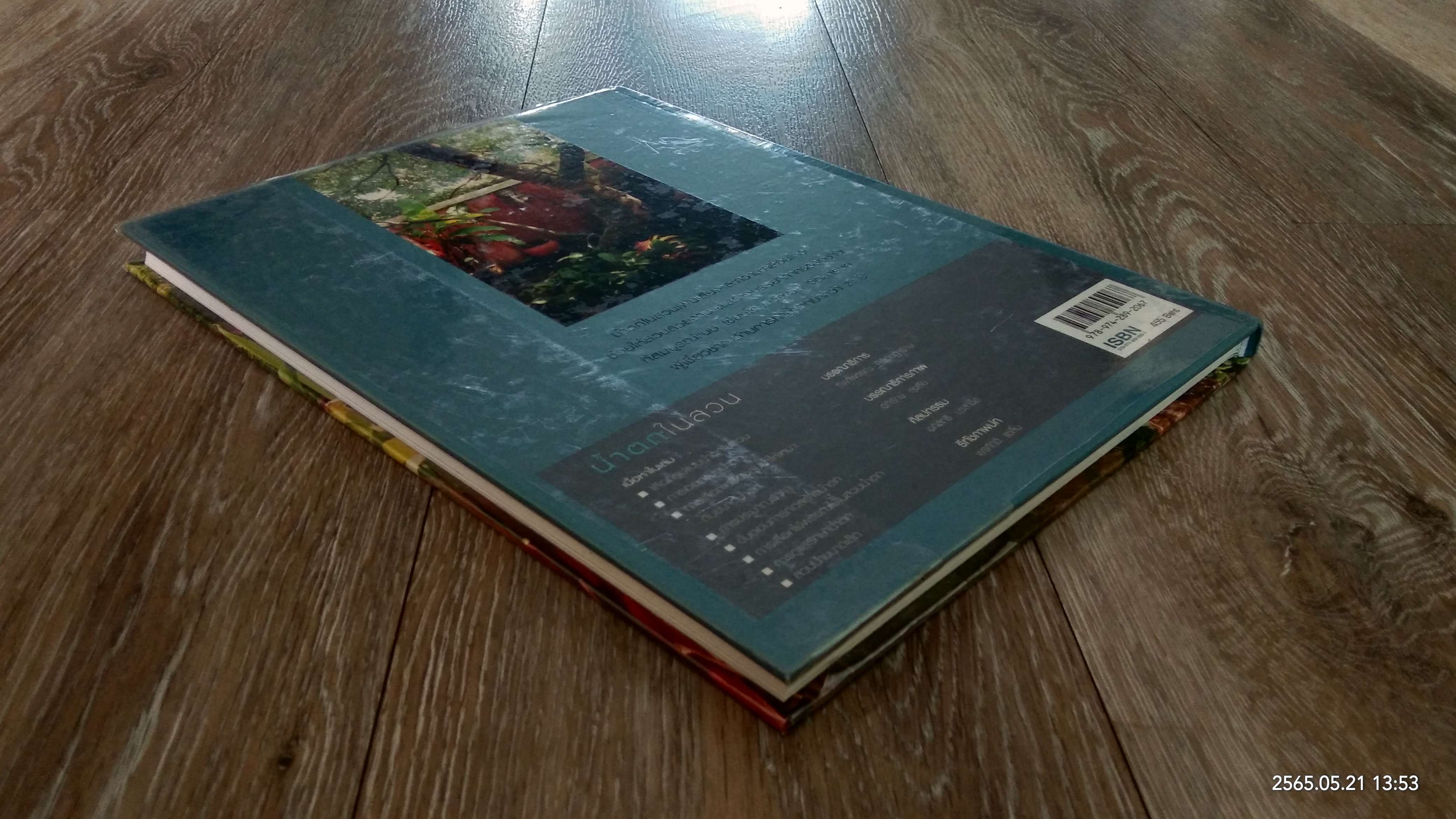 น้ำตกในสวน / ขวัญชัย จิตสำรวย