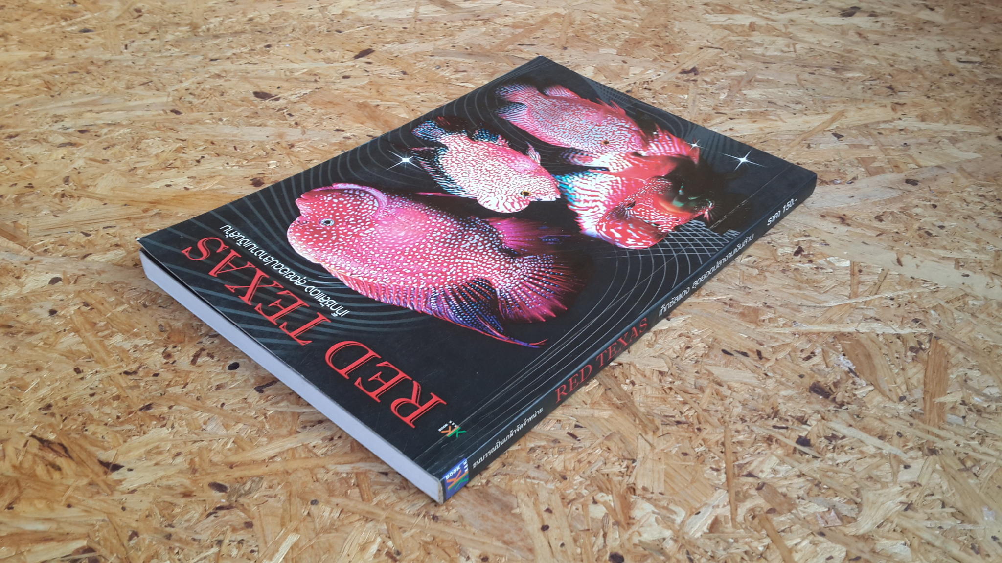 เท็กซัสแดง สุดยอดปลางามเงินล้าน