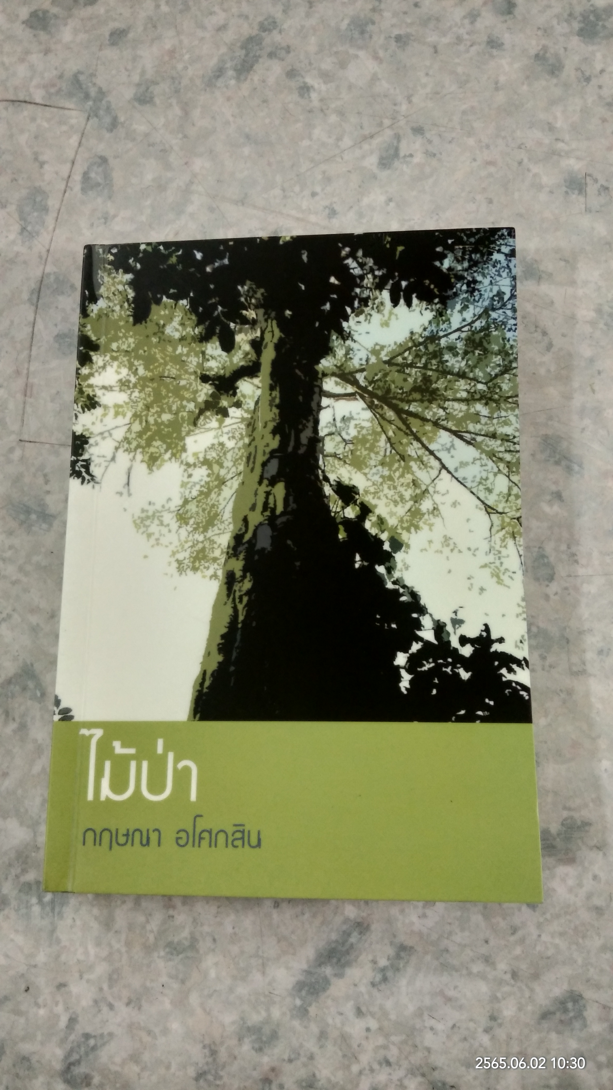 ไม้ป่า (มีรอยขีดเขียนด้านใน) / กฤษณา อโศกสิน