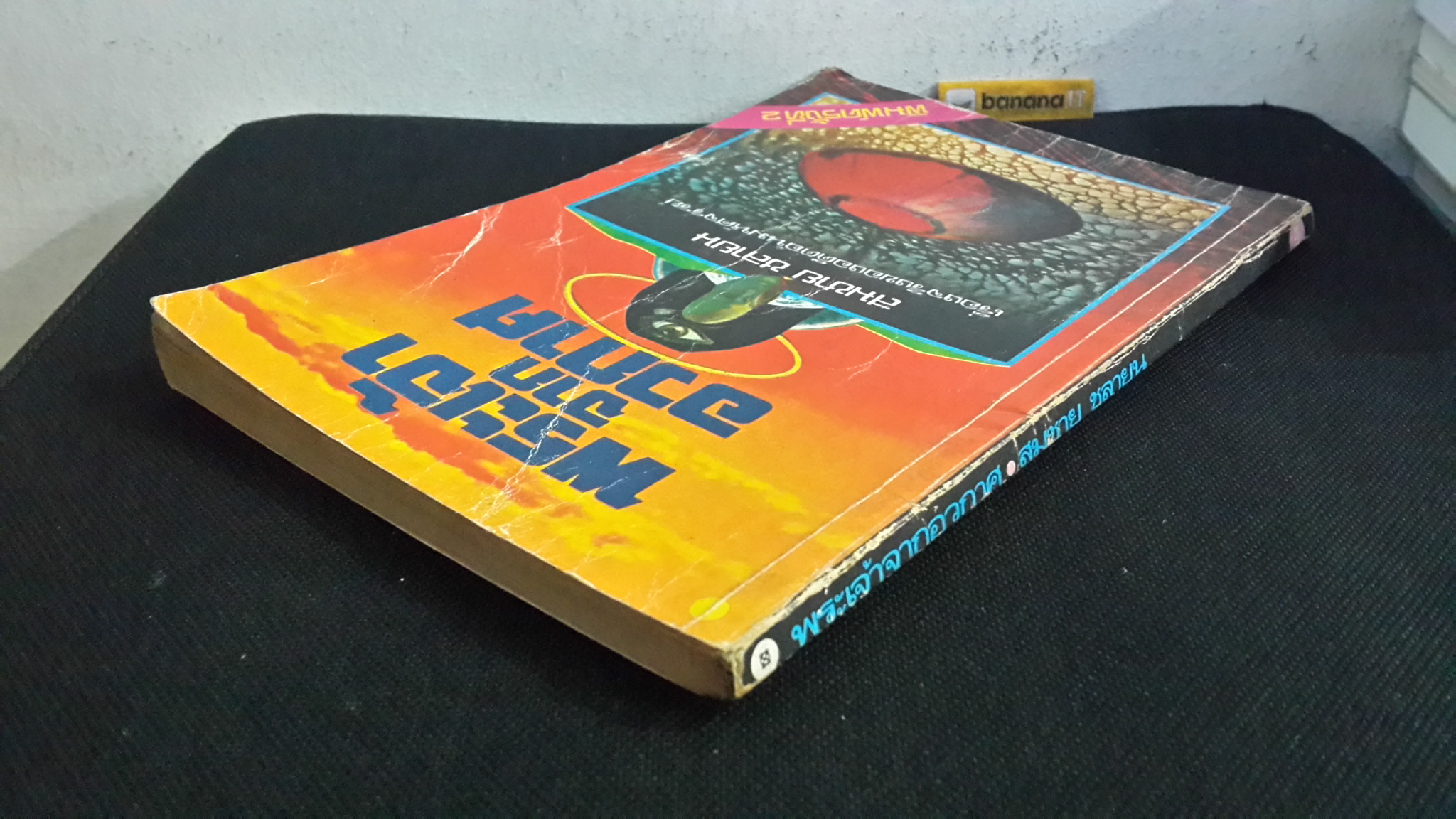 พระเจ้าจากอวกาศ / สมชาย ชลายน