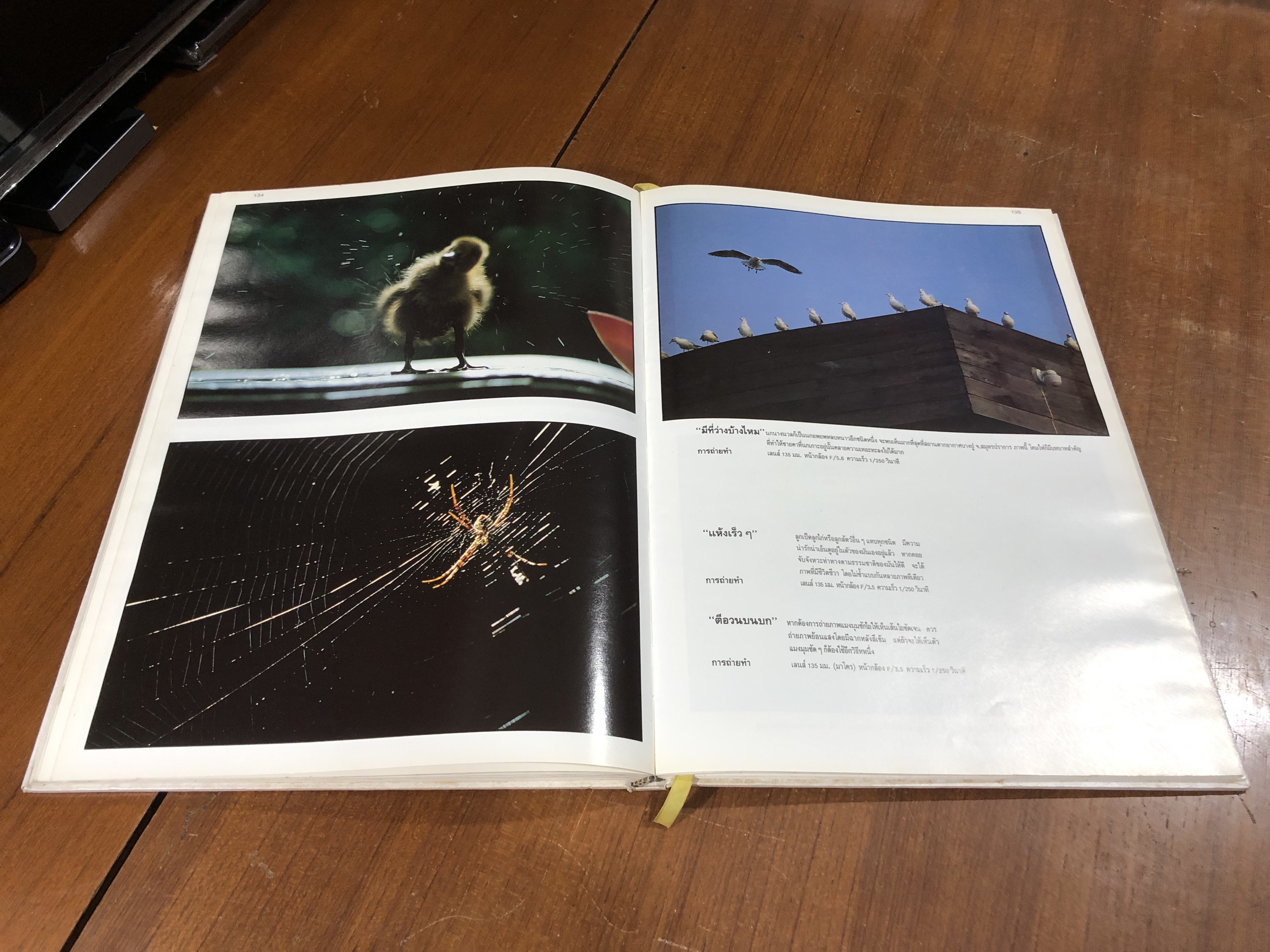 แนะแนวการถ่ายภาพ / ประสพ มัจฉาชีพ (มีรอยโดนน้ำ)