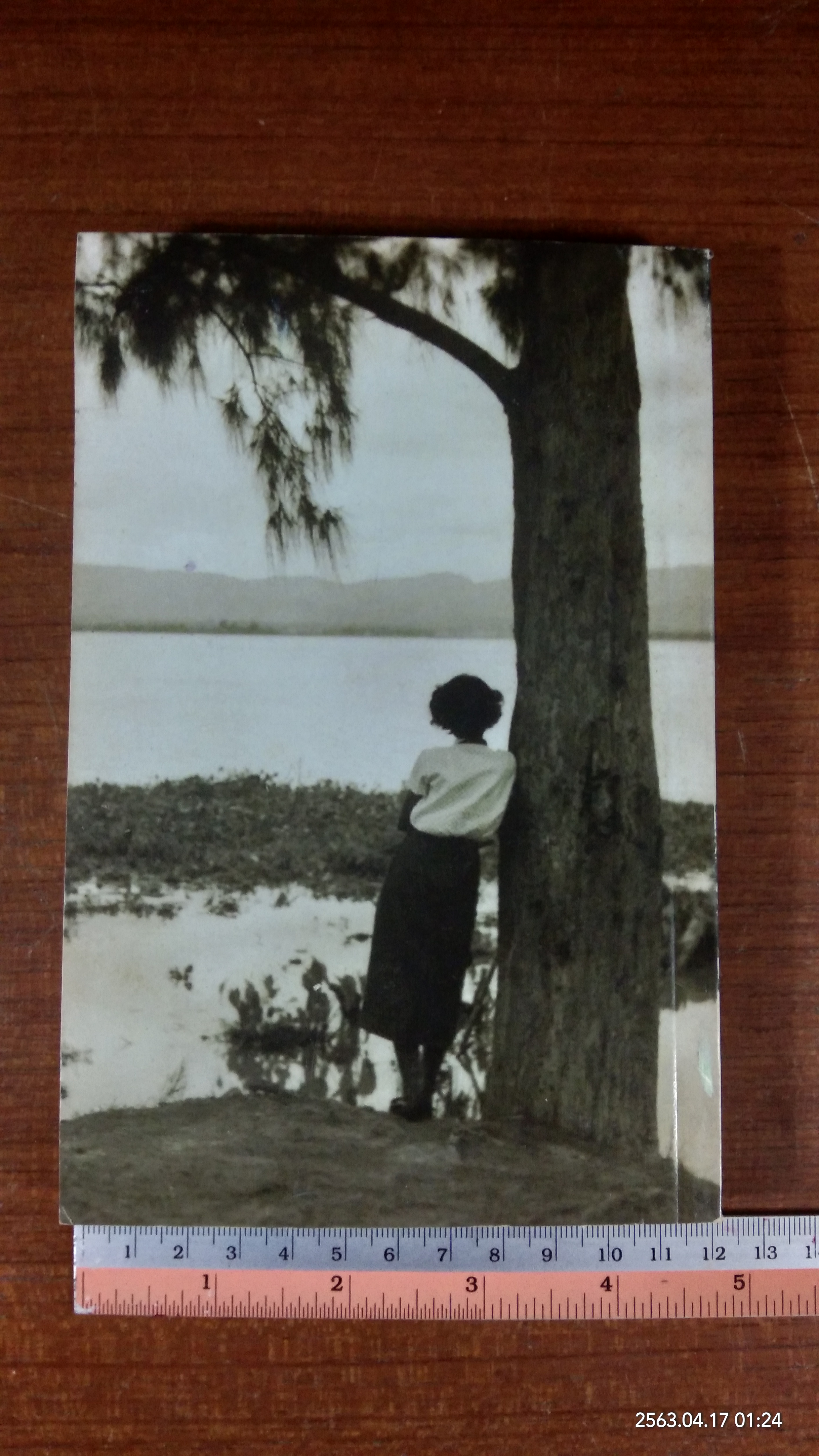 อนุสรณ์ในงานพระราชทานเพลิงศพ นางสาววิภา สุขกิจ