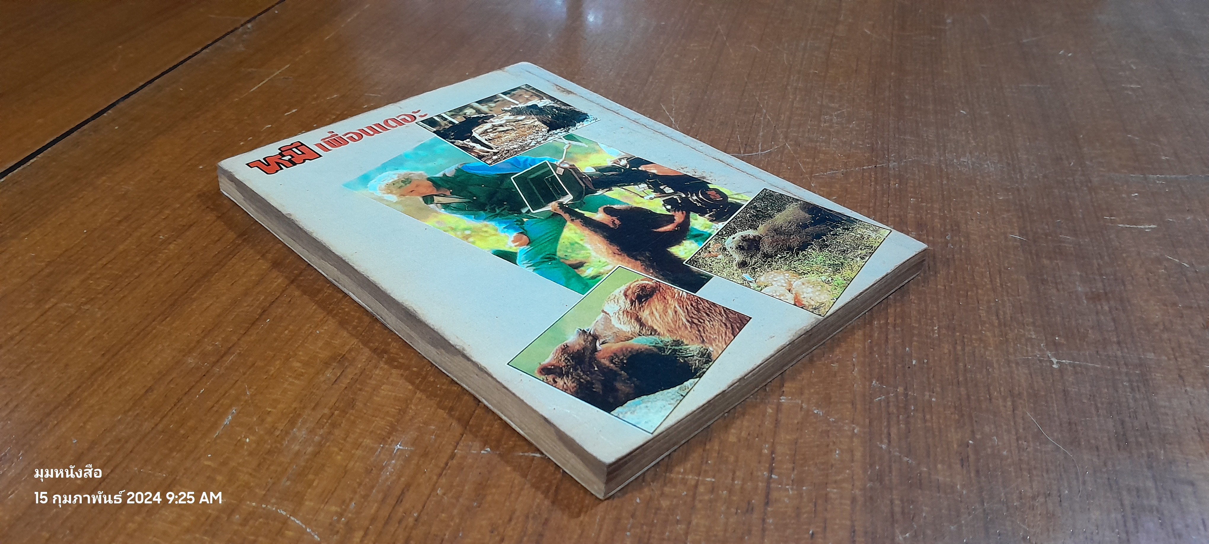 หมีเพื่อนเดอะ / KEI HONJO