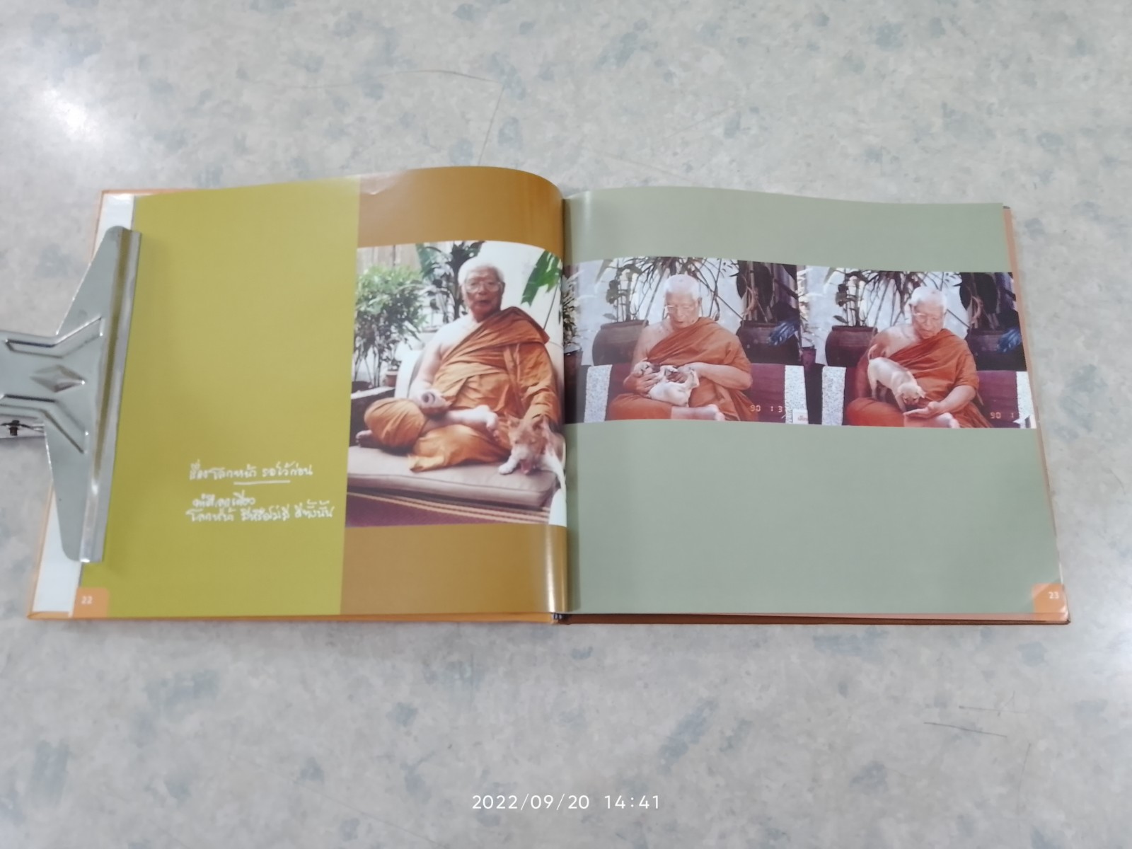 อนุทินภาพ พุทธทาส ๑๐๐ ปี