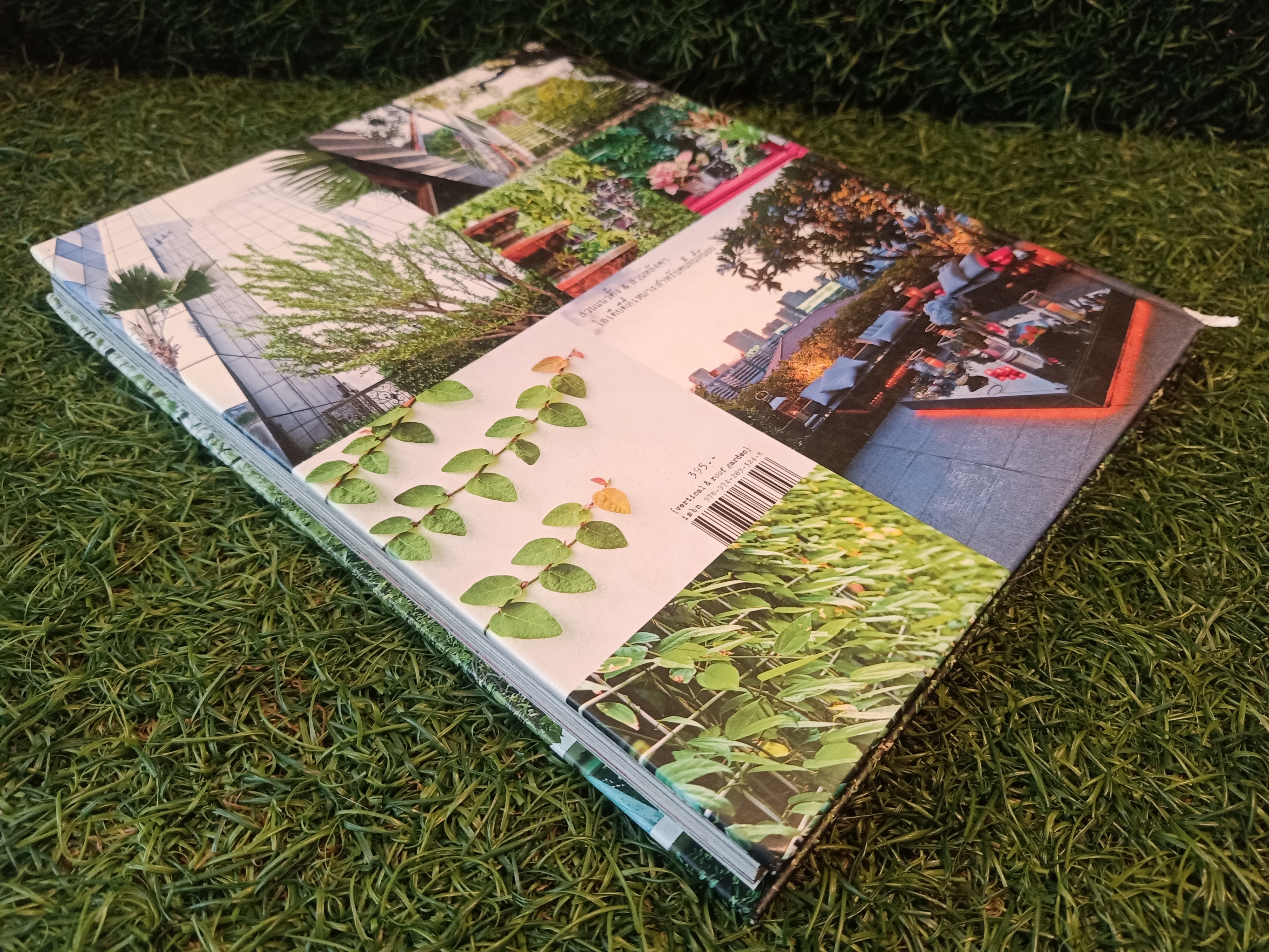 VERTICAL & ROOF GARDEN จัดสวนสวยบนผนังและหลังคา (หนังสือมีรอยชำรุดที่สันปก) / รศ.พาสินี สุนากร & ทิพาพรรณศิริเวชฎารักษ์