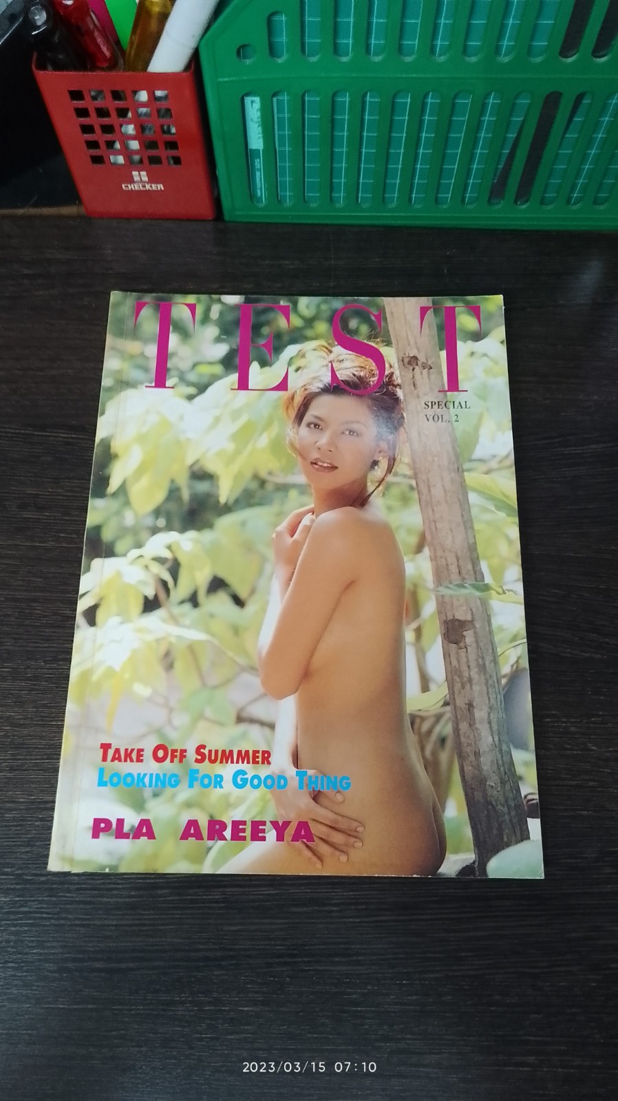 TEST SPECIAL VOL.2 PLA AREEYA