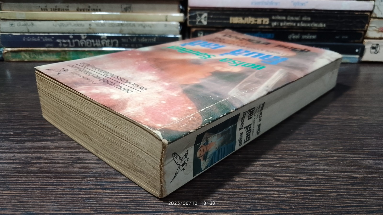 โลนลี่ เลดี้ / แฮโรล ร็อบบินส์