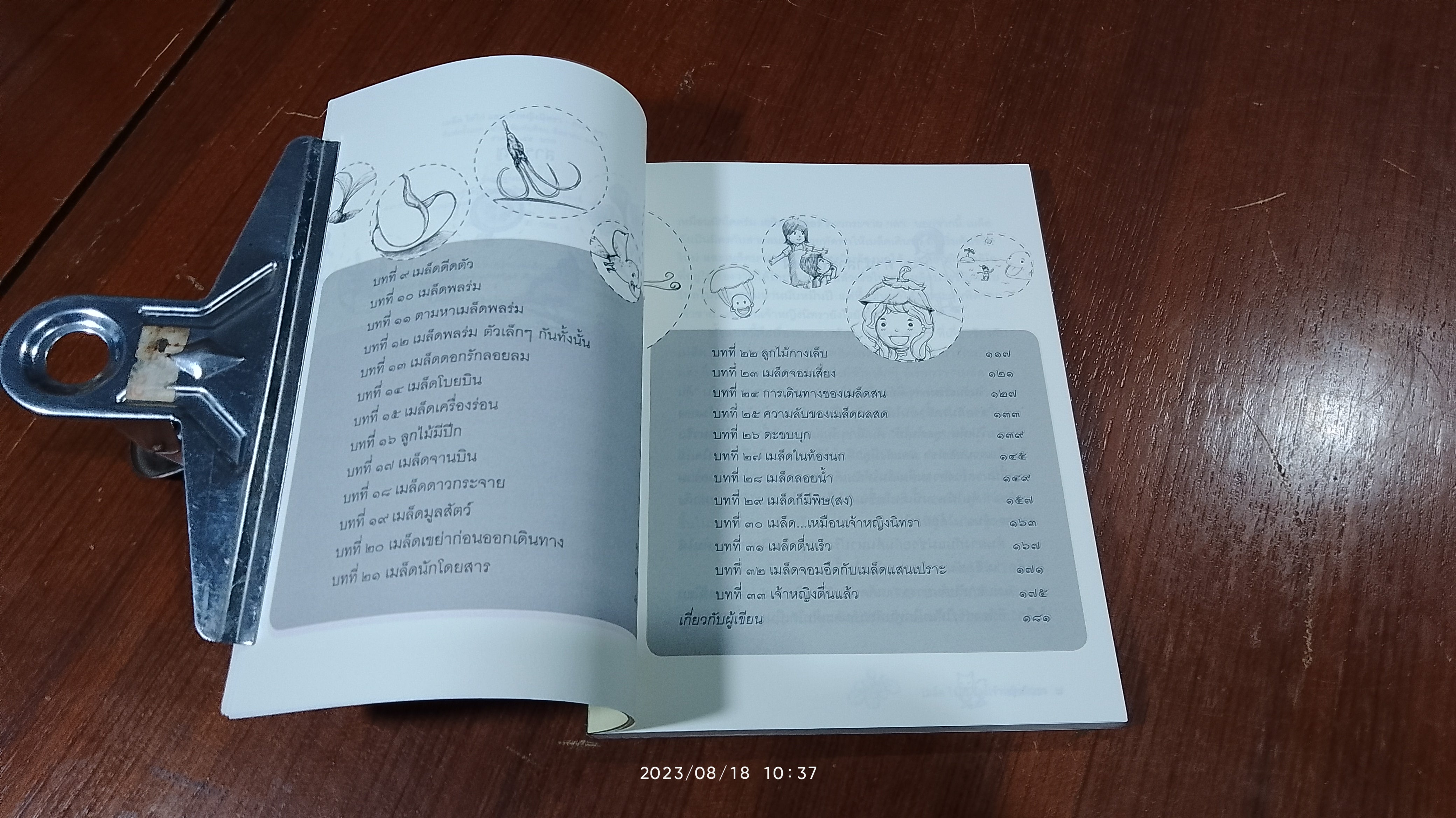 เมล็ด ไข่ไก่ และ เจ้าหญิงนิทรา / คณา คชา