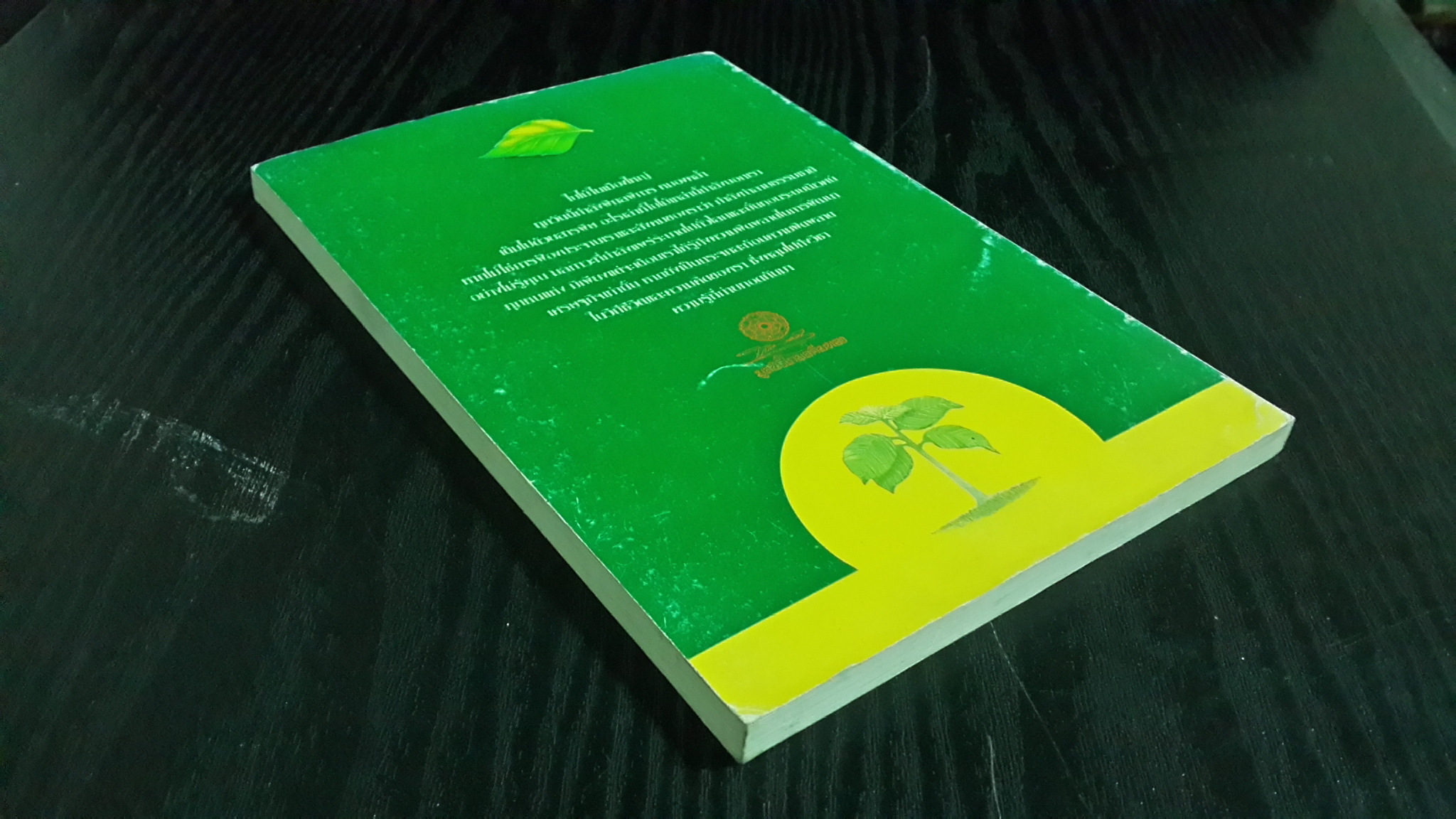 ใบไม้ใบหนึ่ง / รองริน วรัญญ์