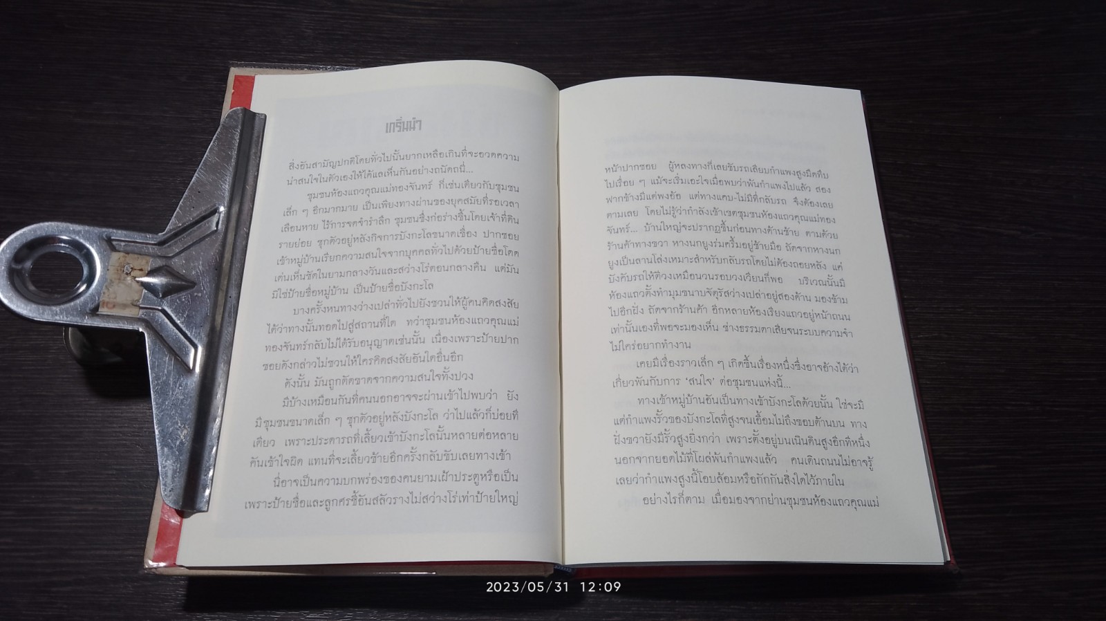 ช่างสำราญ (ปกแข็ง) / เดือนวาด พัมวนา