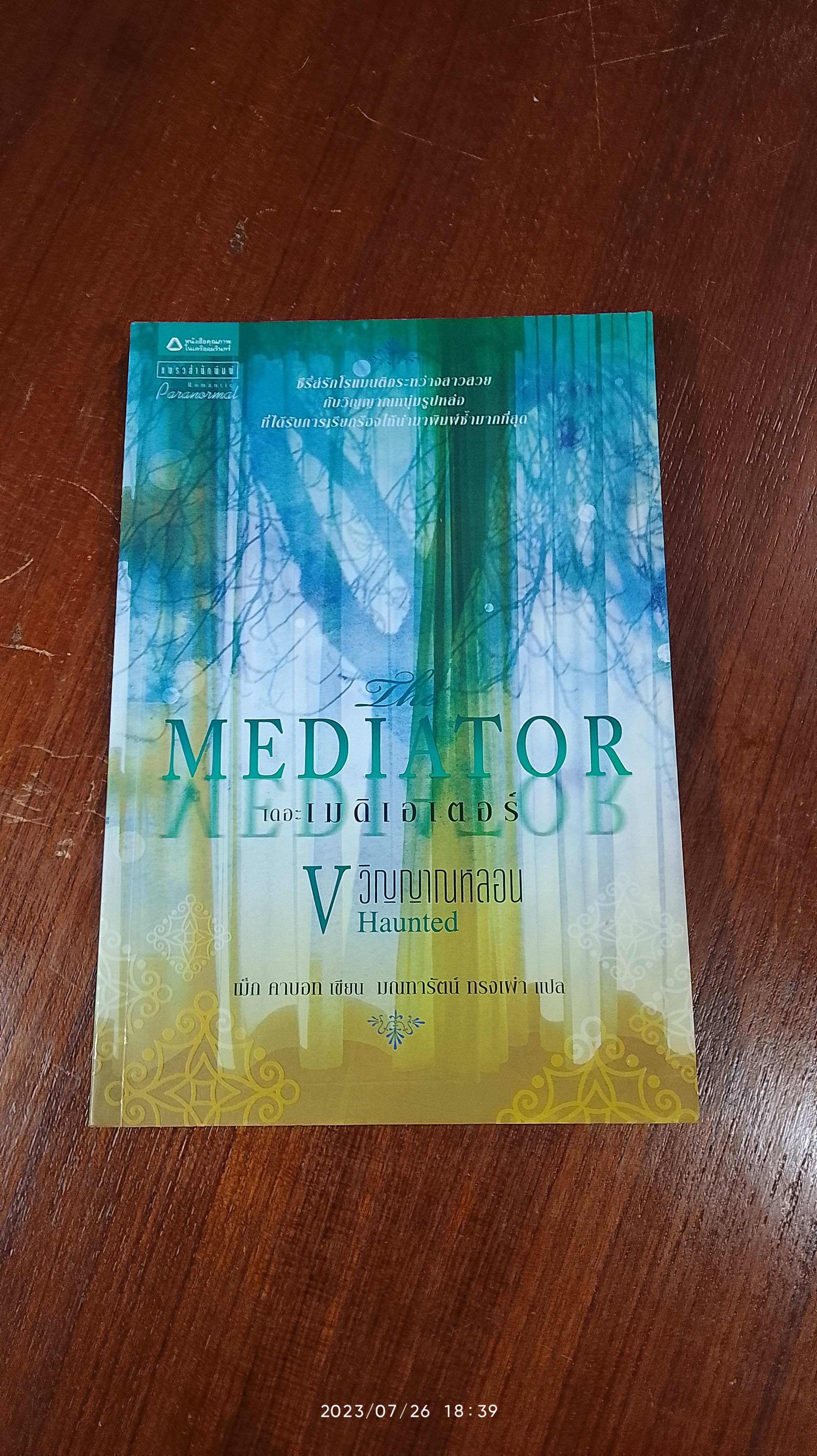 เดอะ เมดิเอเตอร์ V วิญญาณหลอน / เม็ก คาบอท