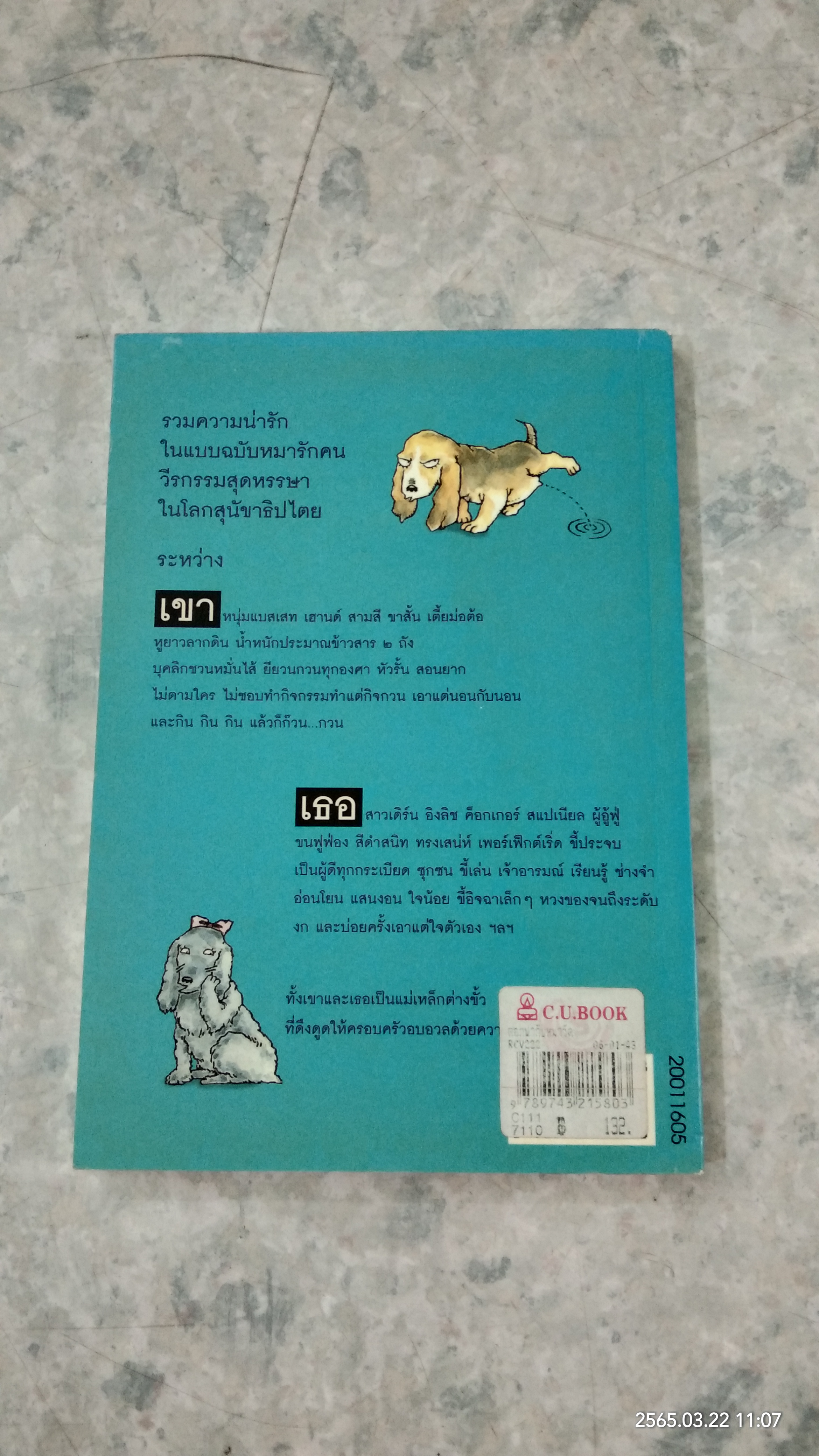 ดอกฟ้ากับหมาวัด / บัญชร ชวาลศิลป์