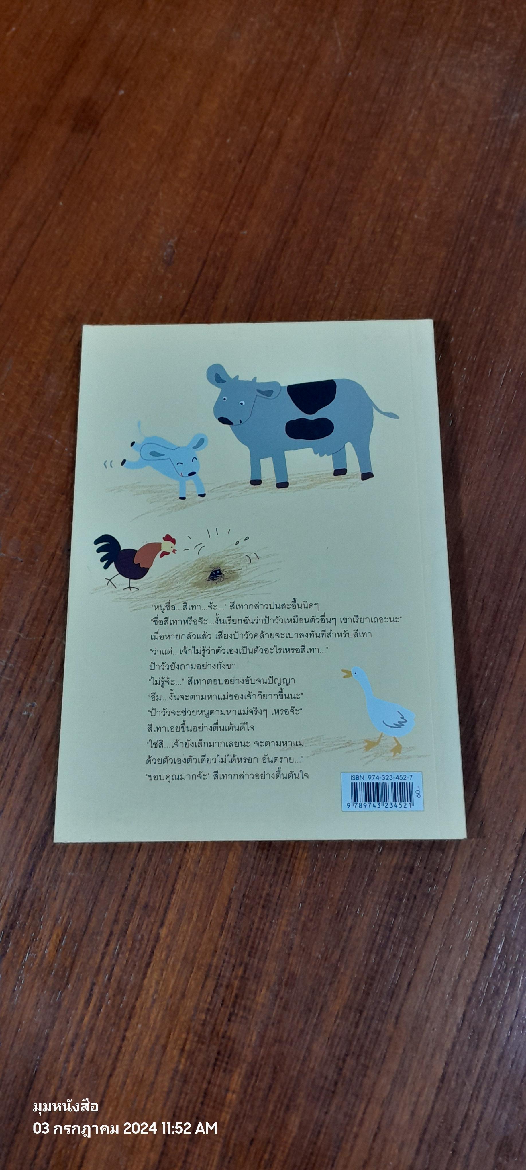 สีเทาเจ้าตัวจิ๋ว / รัศมี เบื่อขุนทด