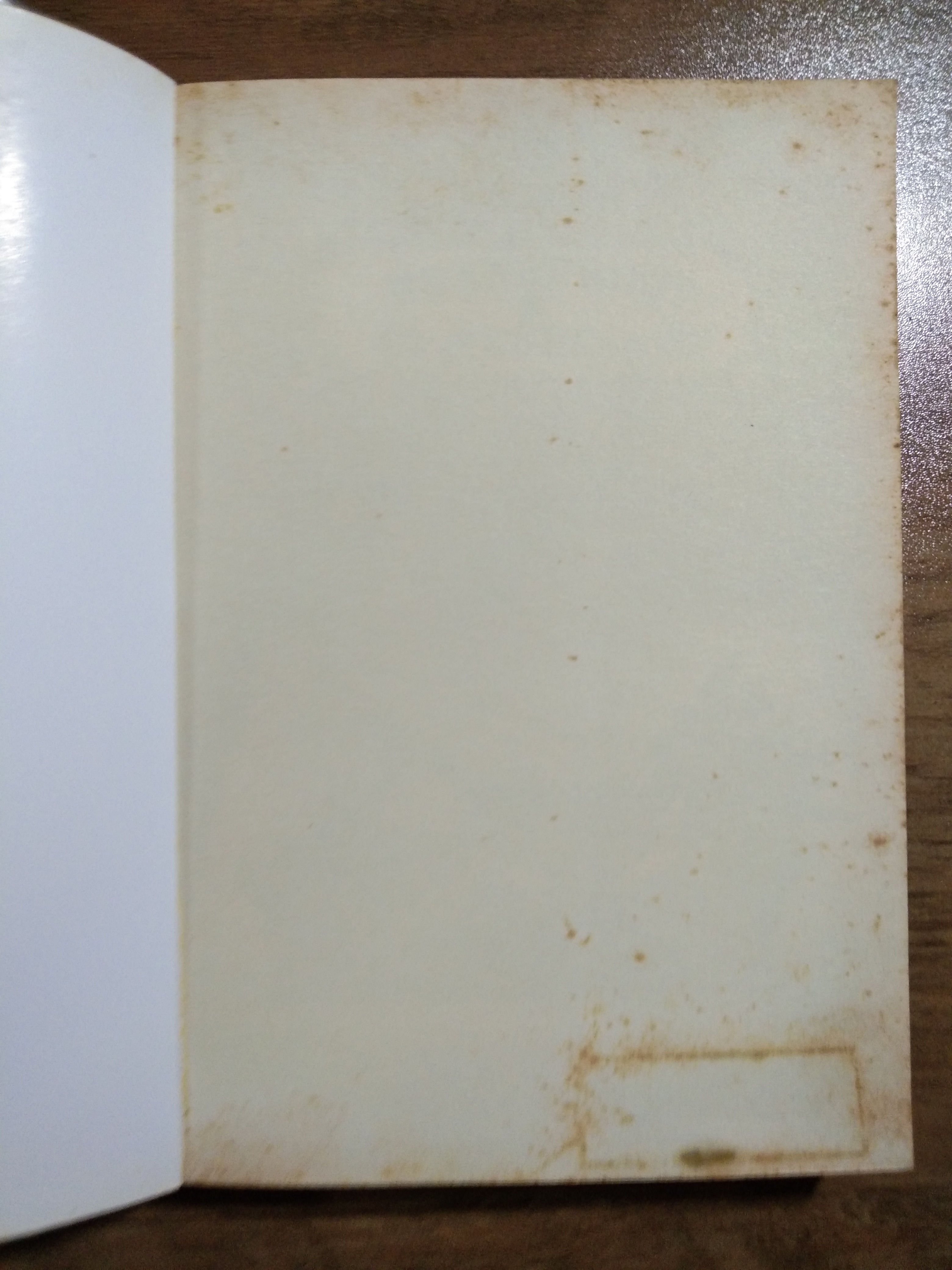 BEANSPROUT & FIREHHEAD IN THE INFINITE MADNESS / ทรงศีล ทิวสมบุญ