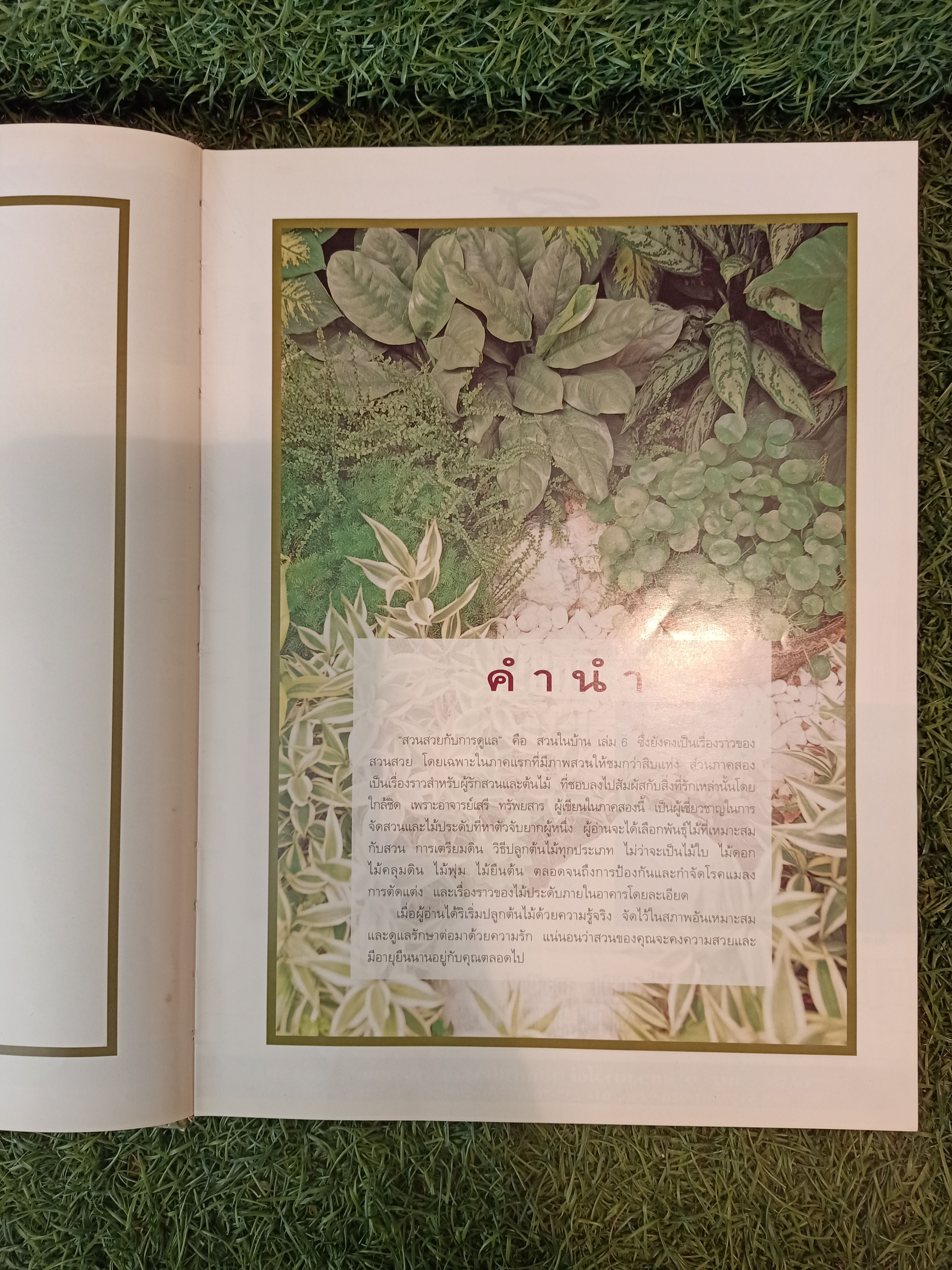 สวนในบ้าน เล่ม 6 สวนสวยกับการดูแล / บ้านและสวน