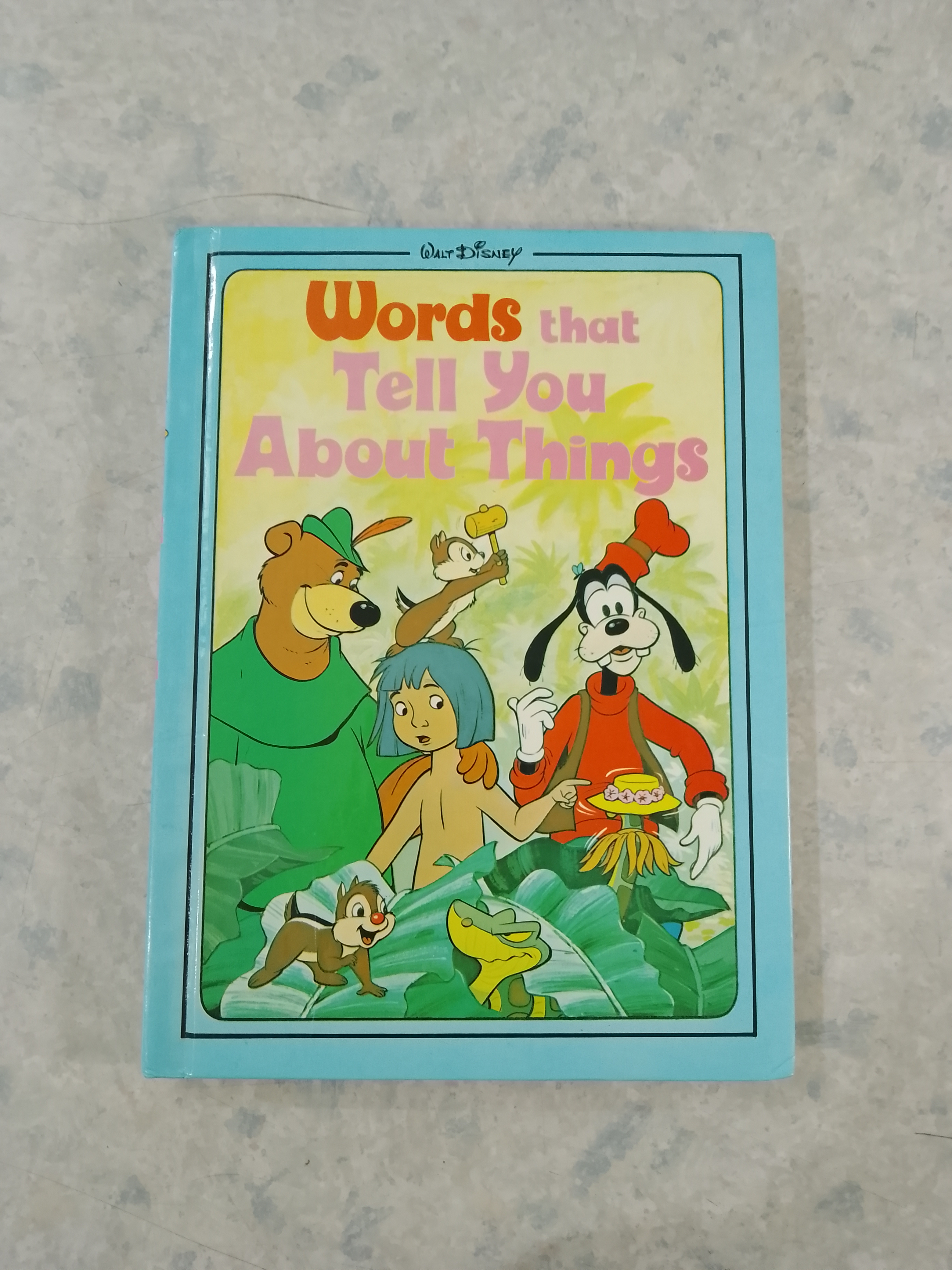 Words that Tell you About Things