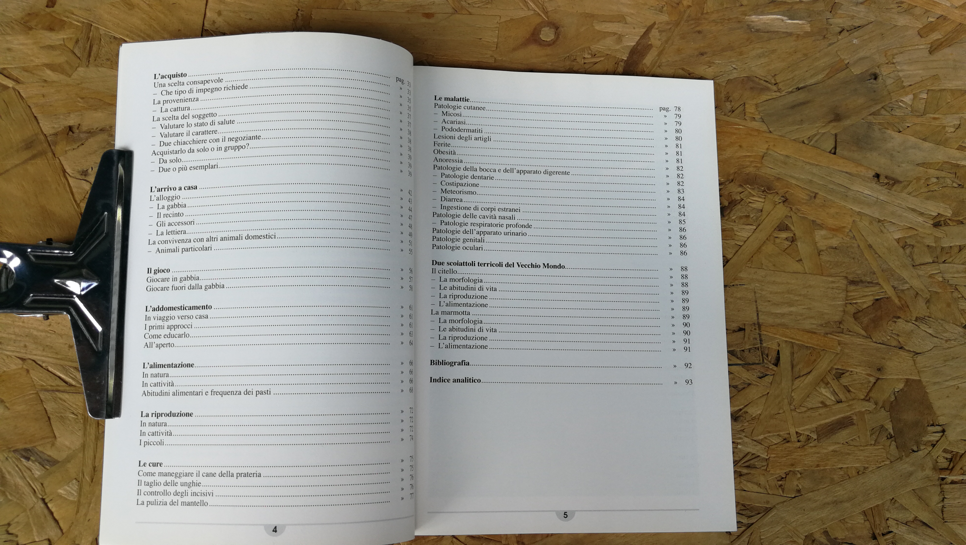 IL CANE DELLA PRATERIA