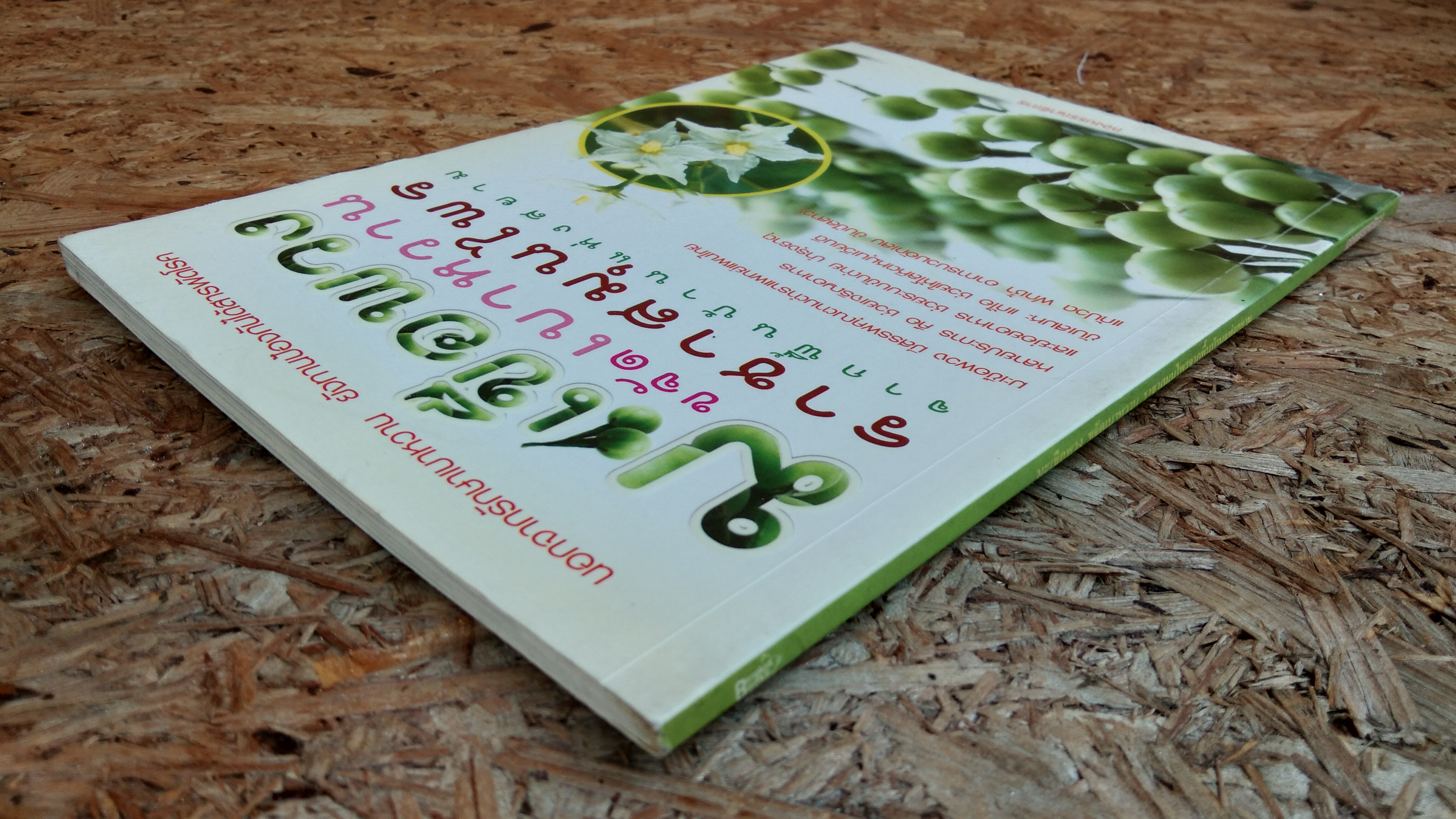 มะเขือพวง ขจัดเบาหวาน ราชาสมุนไพร จากพื้นบ้านแห่งสยาม