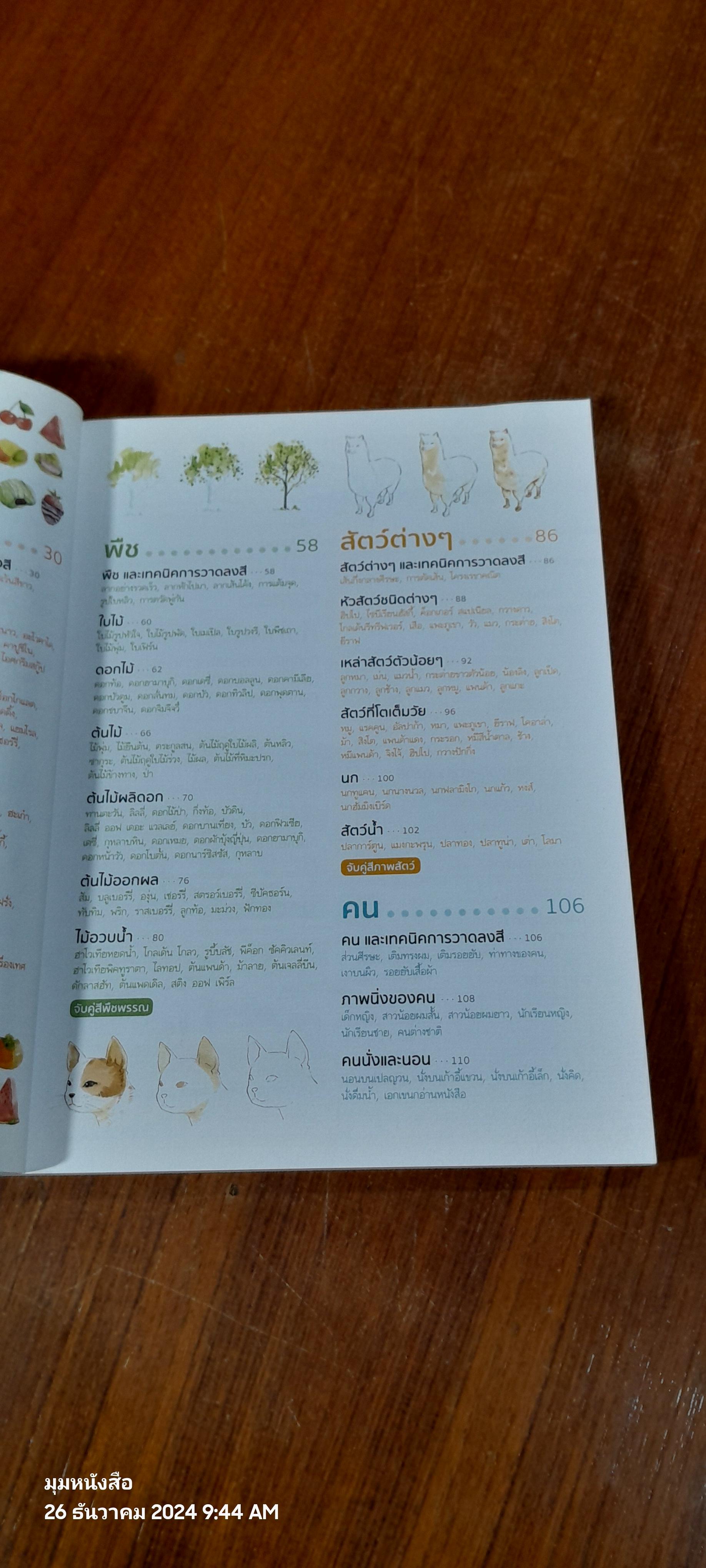 หัดวาดสีน้ำ 500 ภาพ สาม-สี่ Step / เฟยเล่อเหนี่ยว