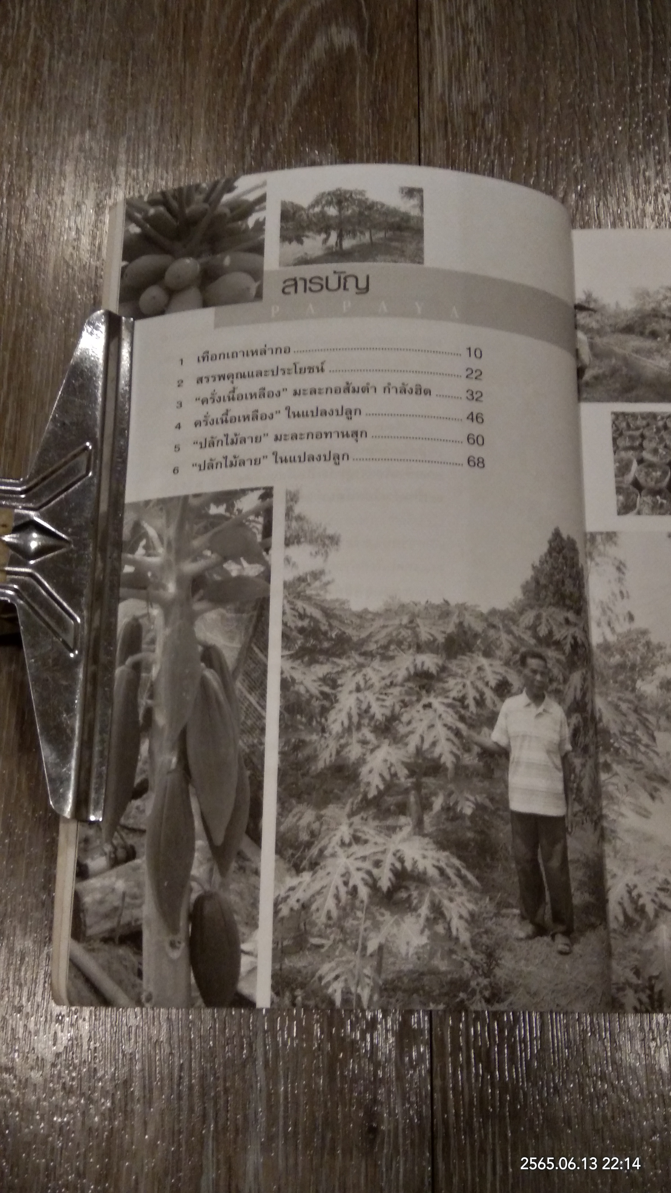 มะละกอ กำลังทำเงิน ปลูกได้รวย / มนตรี แสนสุข