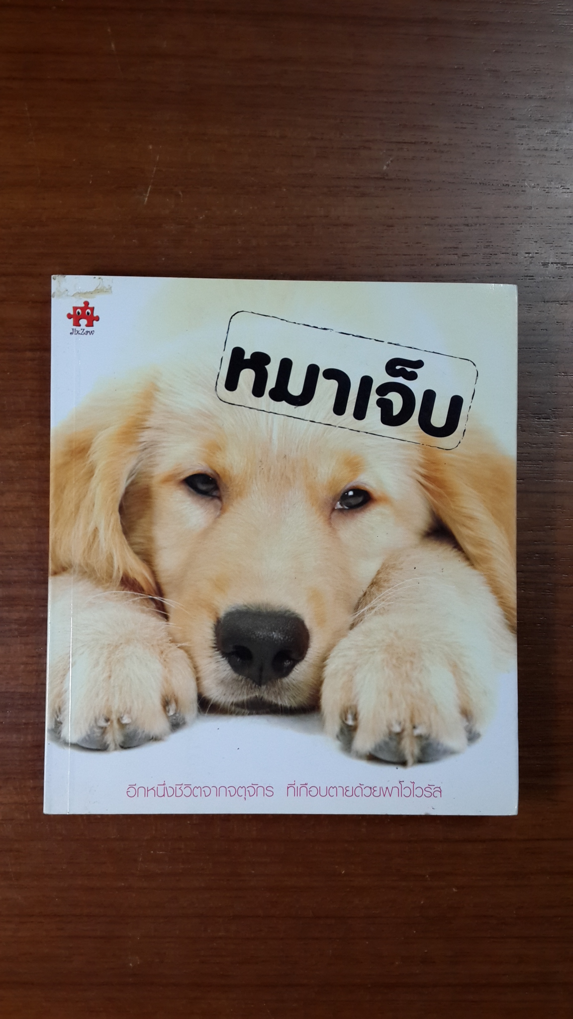 หมาเจ็บ / สรสิทธิ์ เสรีนุกุล