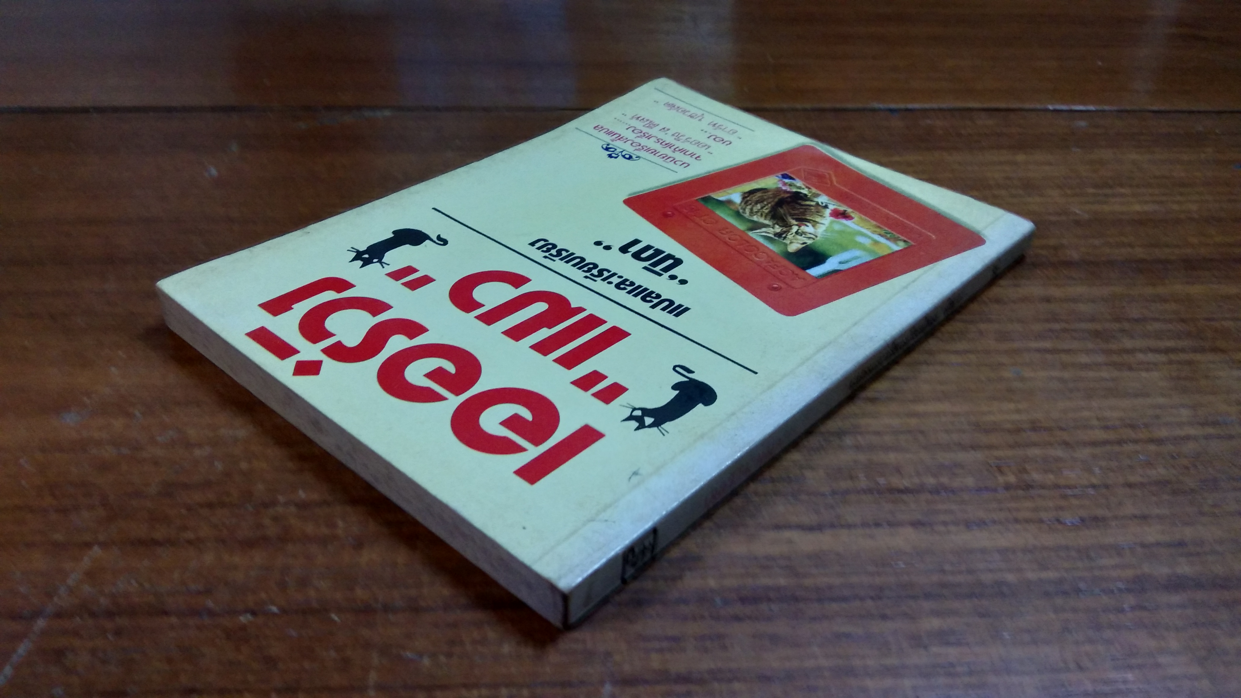 เออร์วิง"แมว" / นิดา แปล