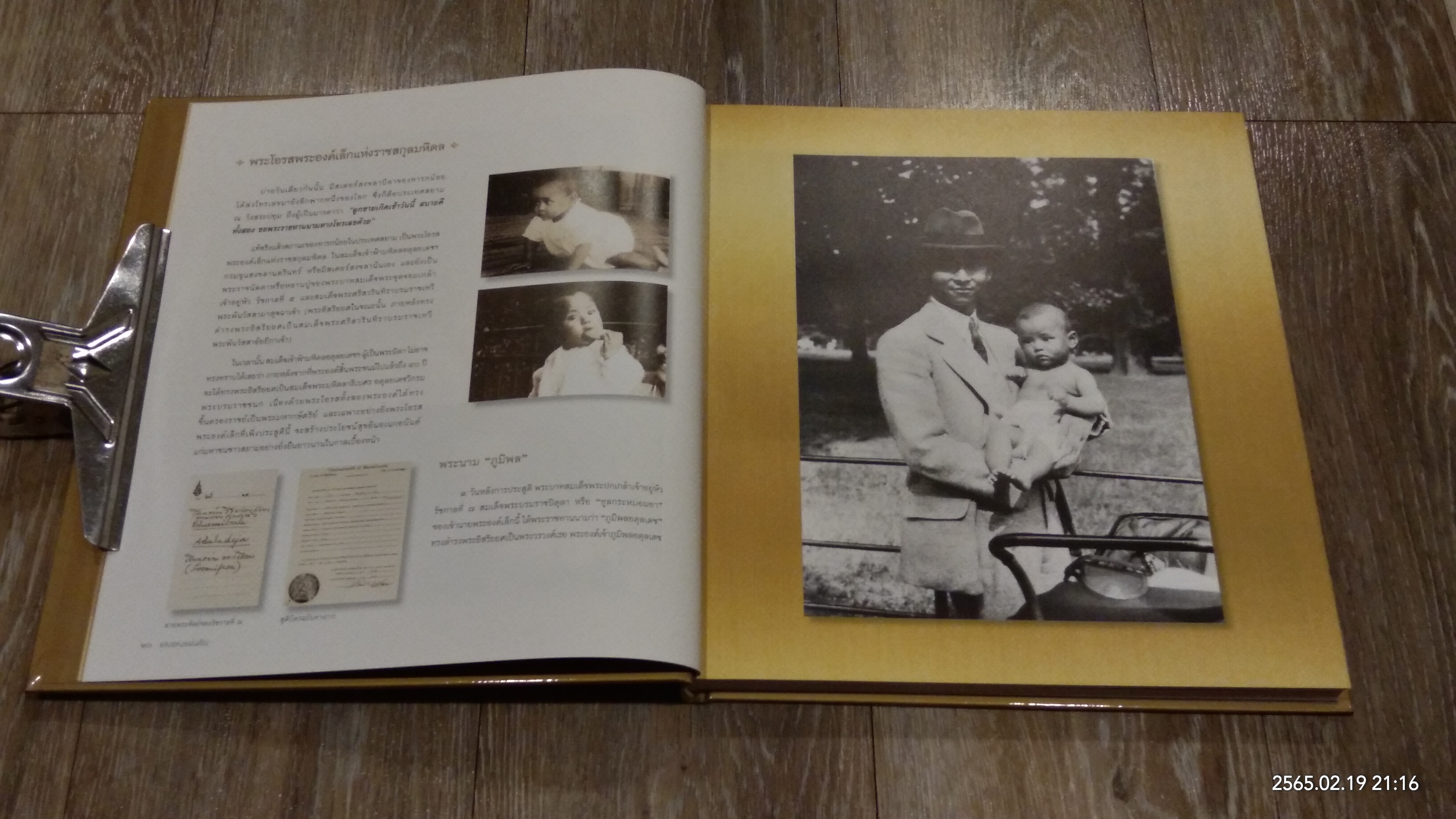 แสงแห่งแผ่นดิน