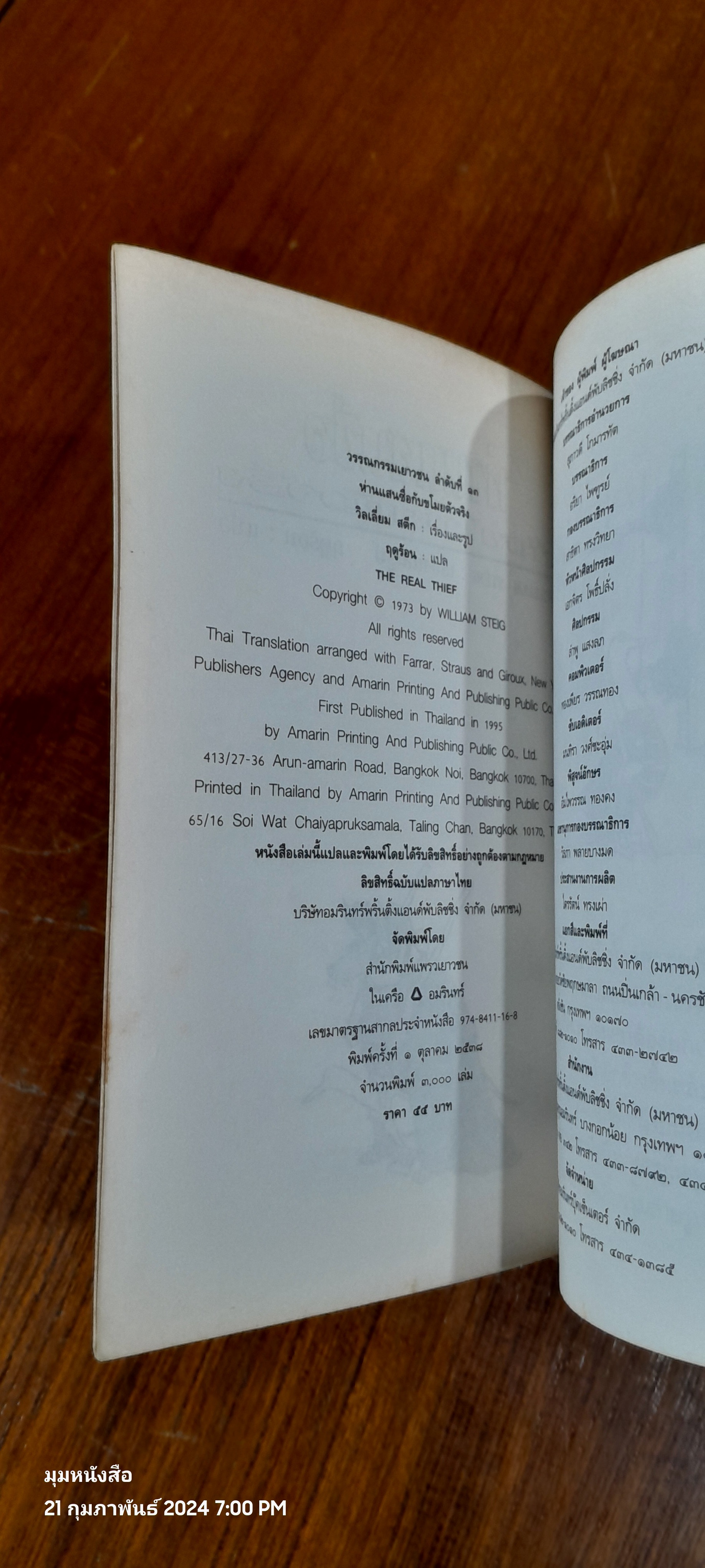 ห่านแสนซื่อกับขโมยตัวจริง / วิลเลี่ยม สตีก