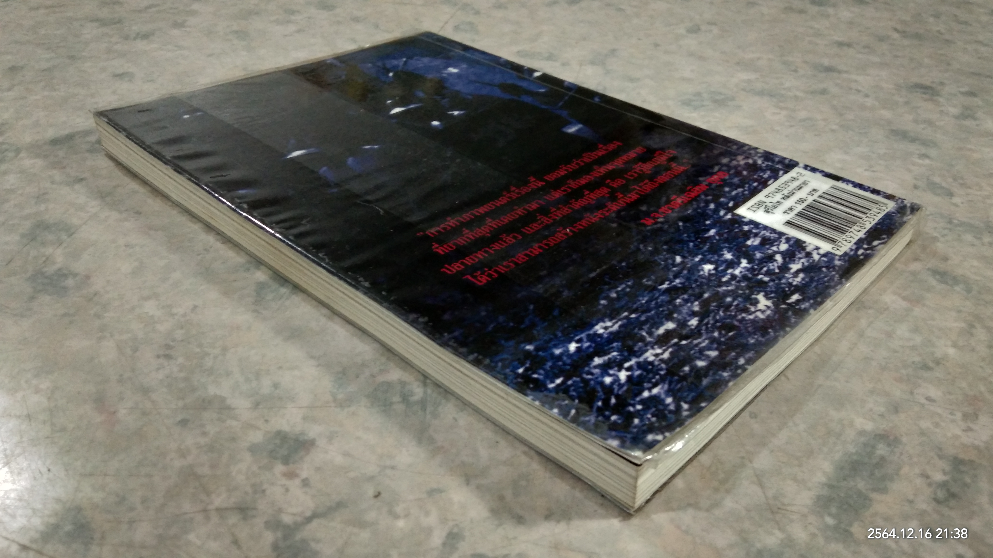 สุริโยไท หลังม่านมายา / เอกรงค์ ภาณุพงษ์