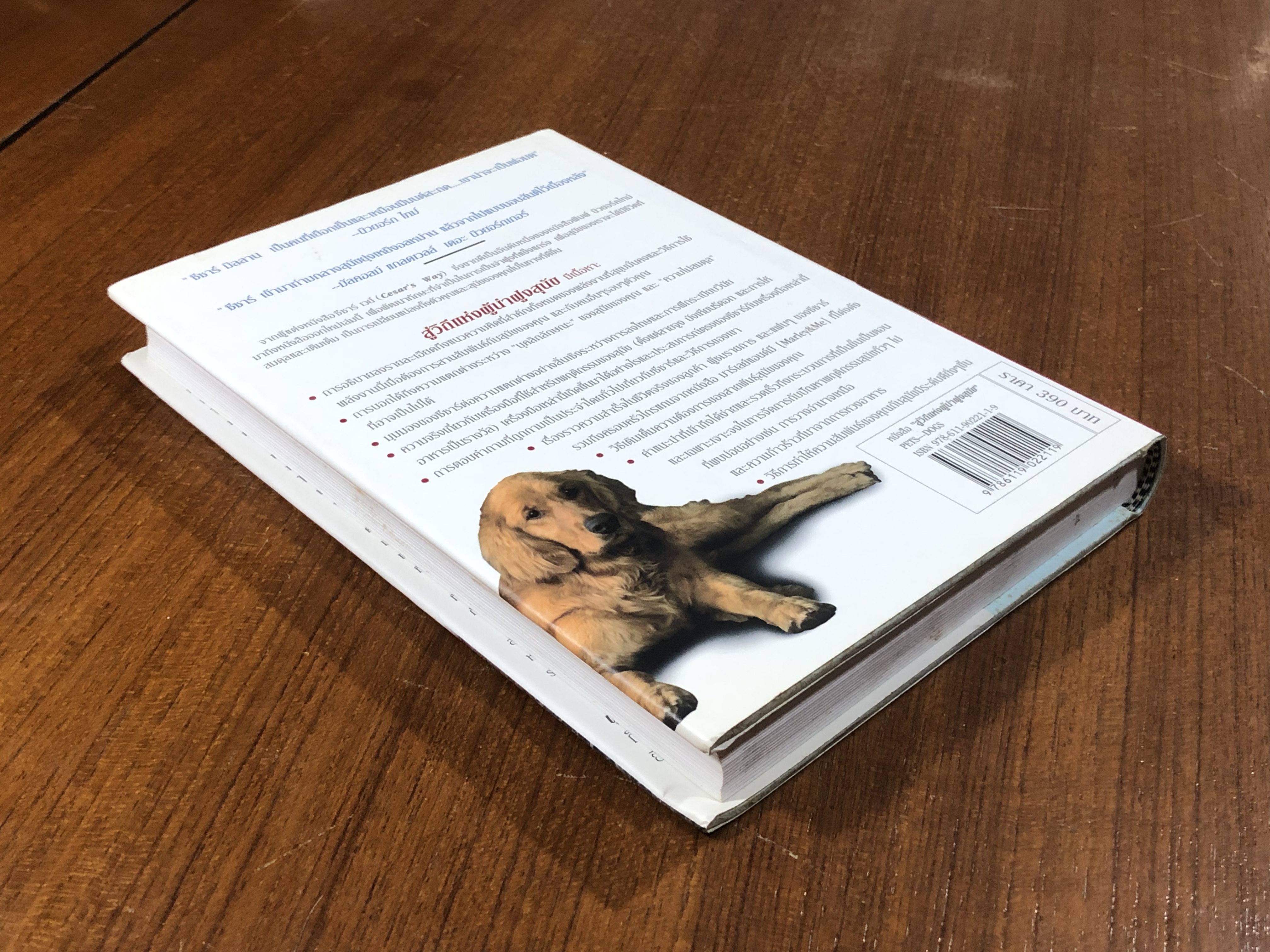 สู่วิถีแห่งผู้นำฝูงสุนัข / ซีซาร์ มิลลาน