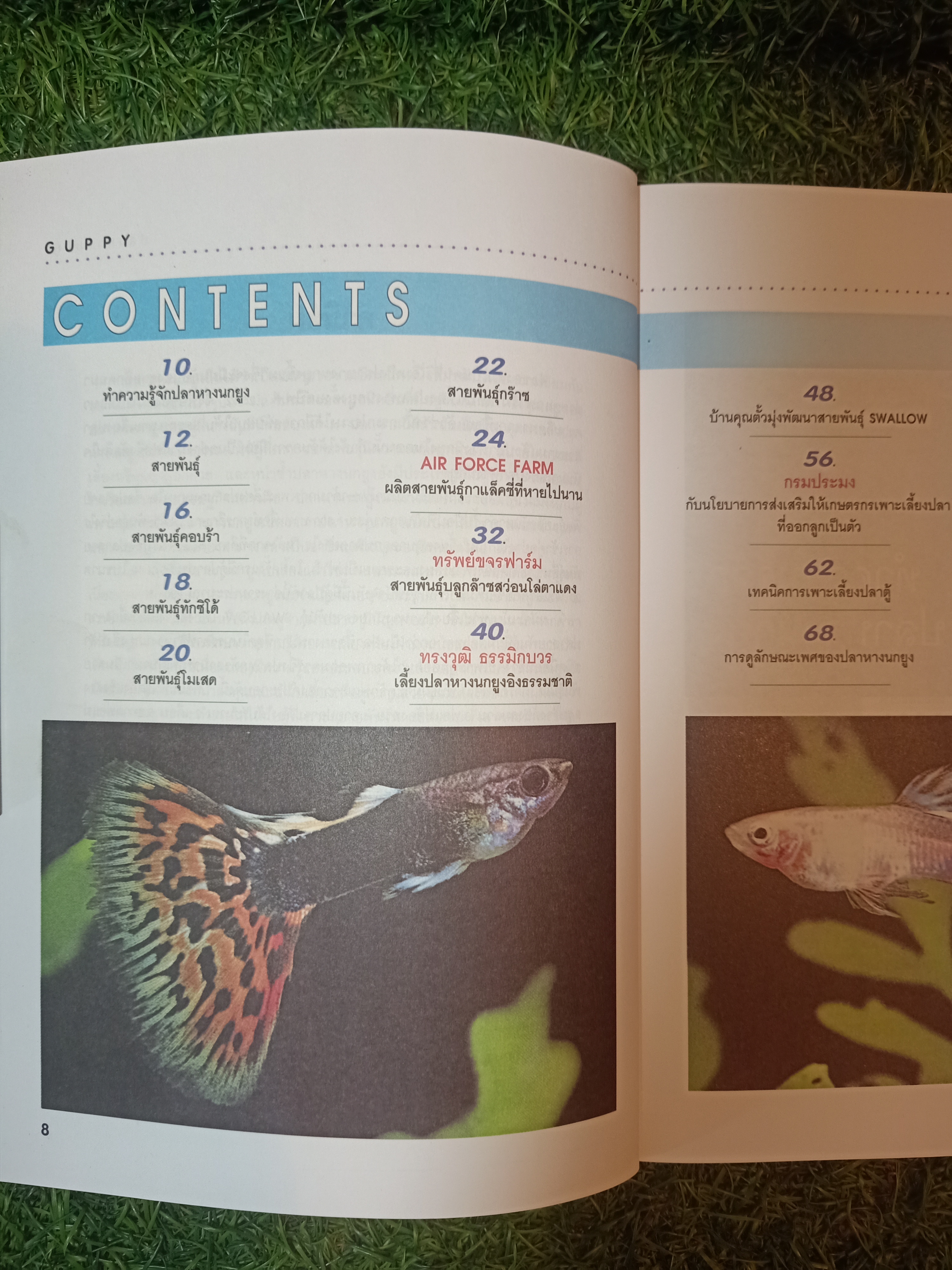 สายพันธุืและการเพาะเลี้ยง ปลาหางนกยูง GUPPY / กฤษณา แก้วชะอุ่ม ภีระ ไกรแสงศรี