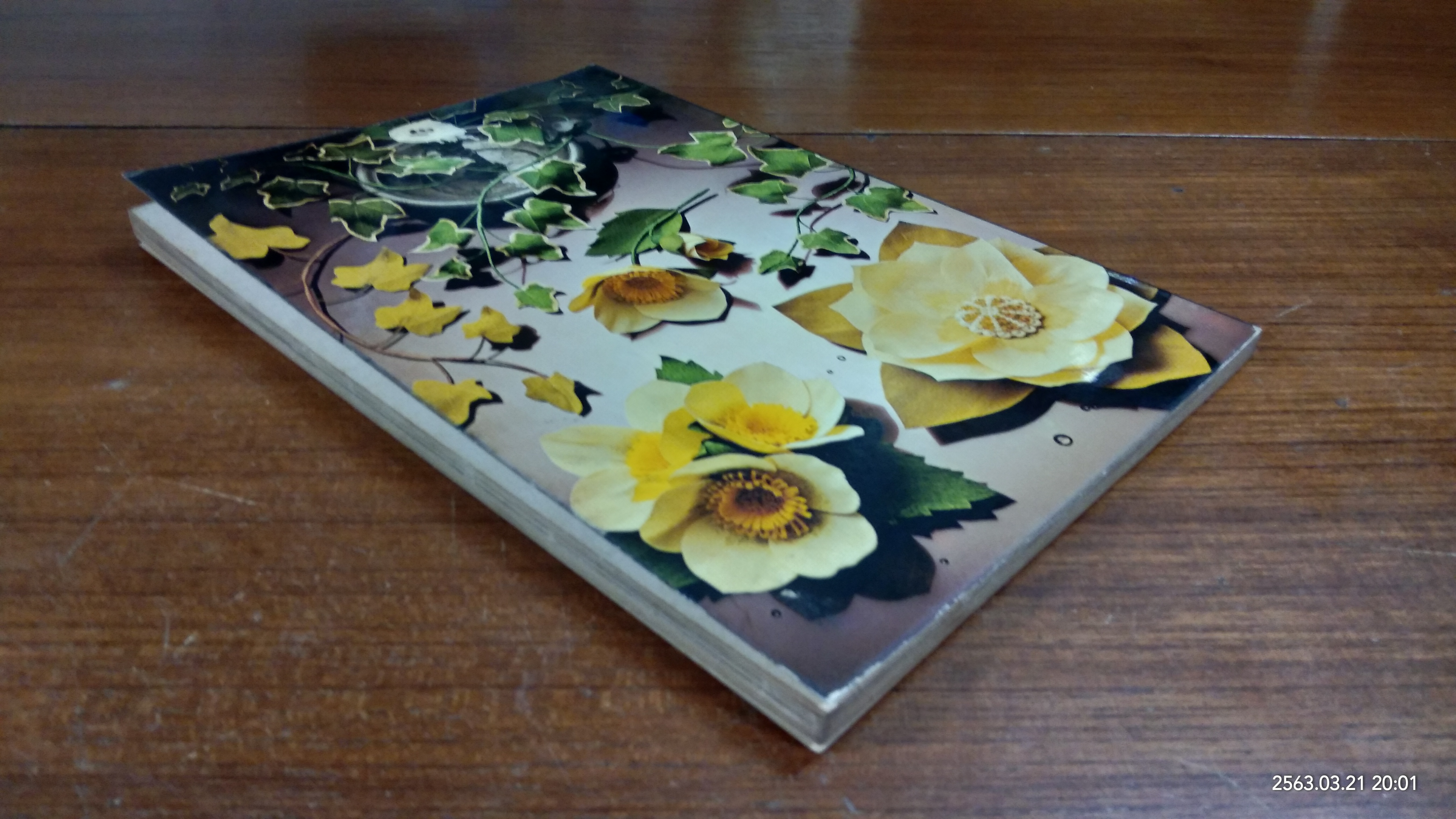 PAPER FLOWERS / Valerie Janitch