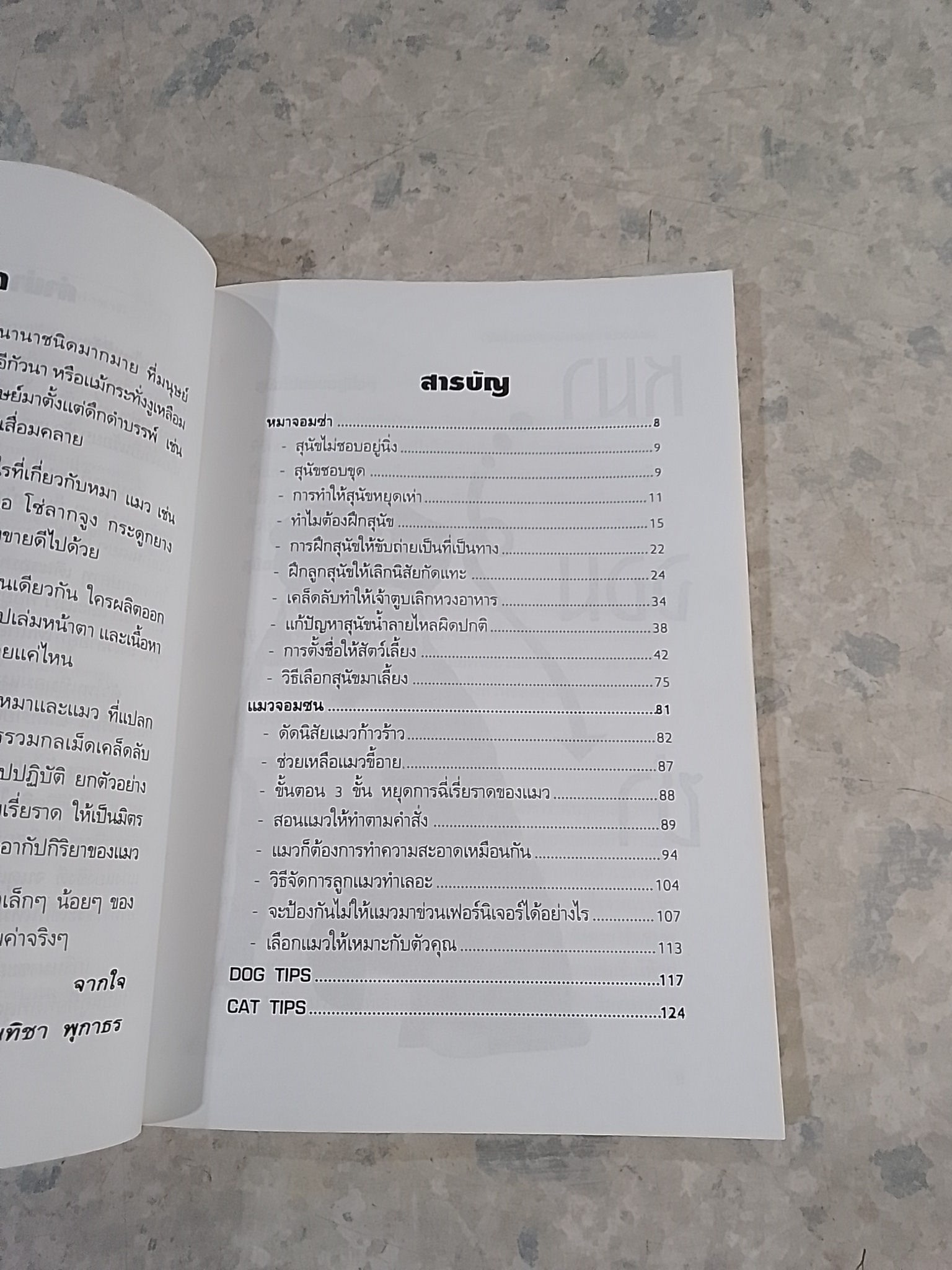 เคล็ดไม่ลับปราบหมาจอมซ่าแมวจอมซน / นันทิชา พุกาธร