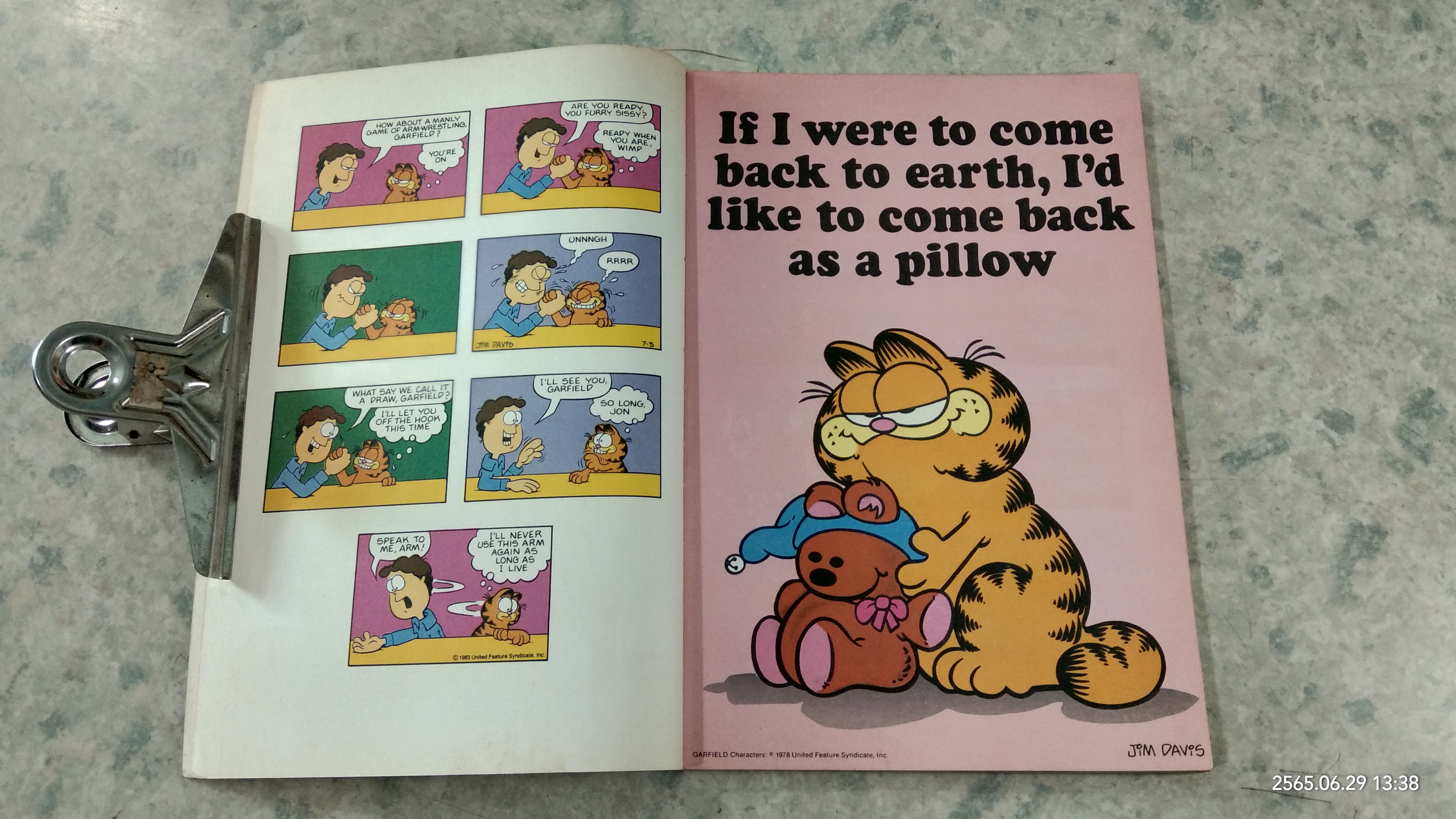 the Garfield Gallery 2 / JiM DAViS