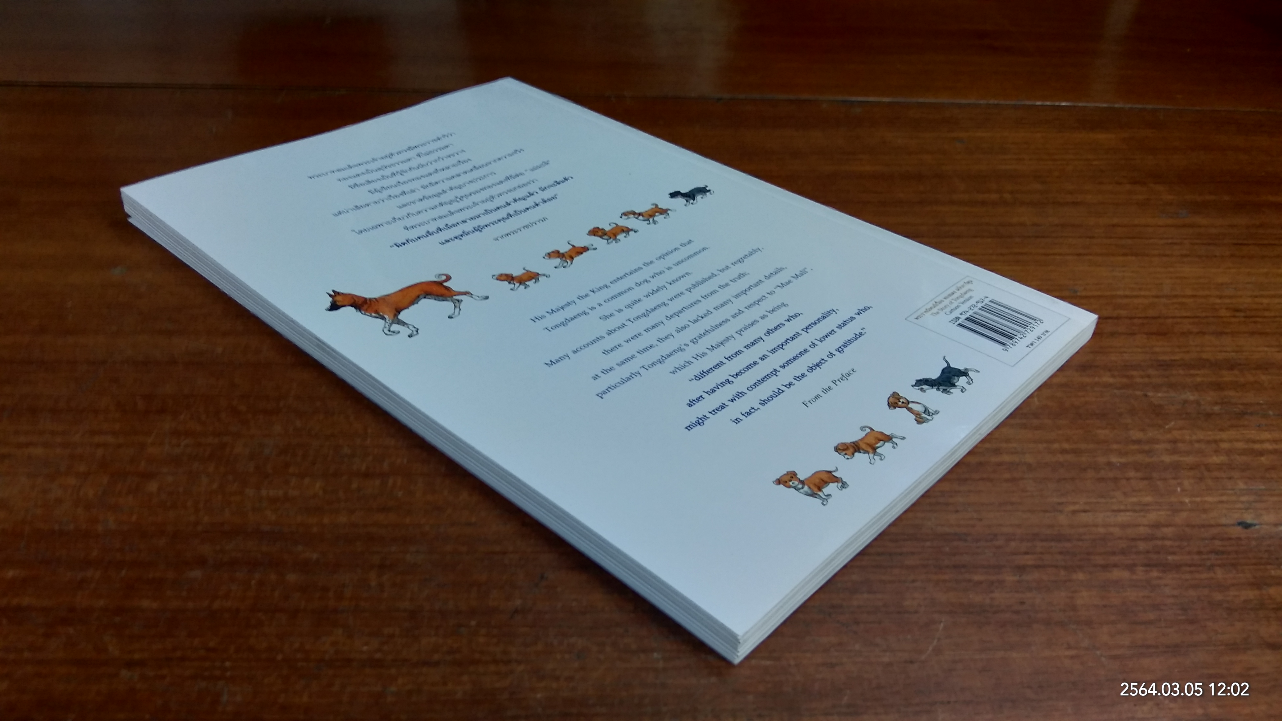 เรื่อง ทองแดง ฉบับการ์ตูน