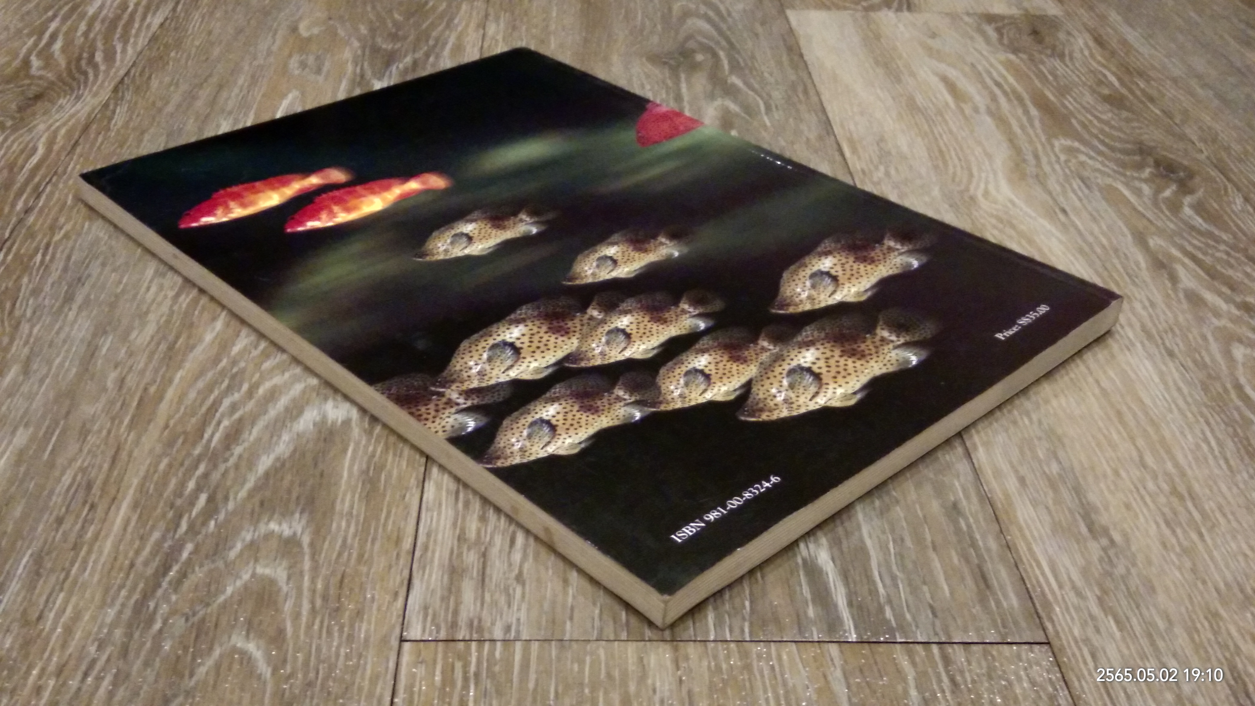 A COLOUR GUIDE TO THE FISHES OF THE SOUTH CHINA SEA AND THE ANDAMAN SEA