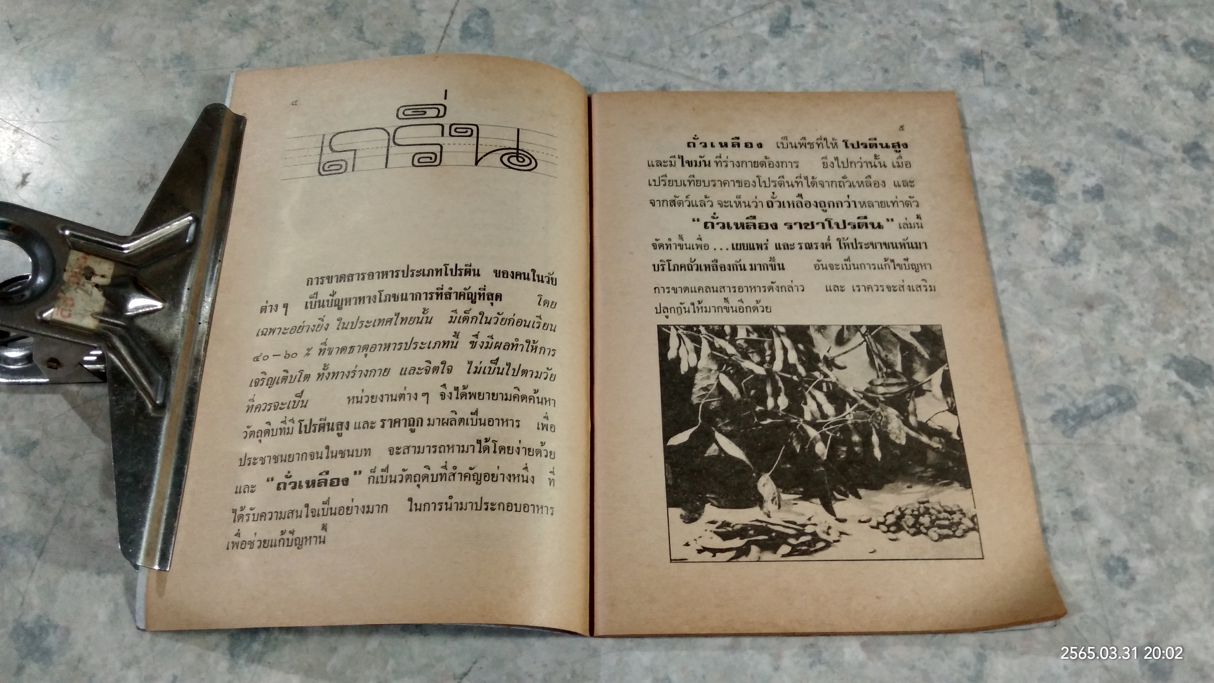 ถั่วเหลืองราชาโปรตีน