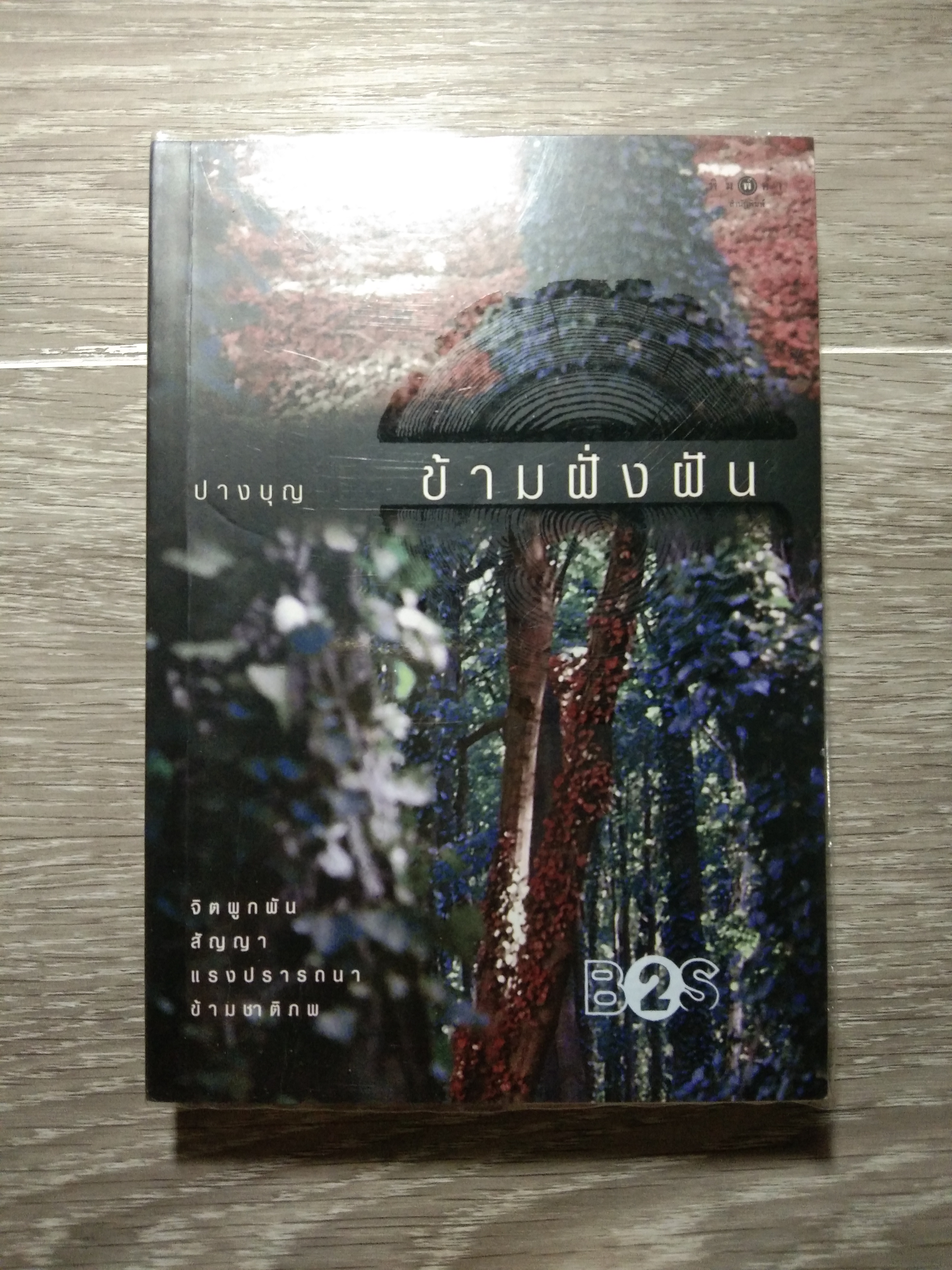 ข้ามฝั่งฝัน / ปางบุญ