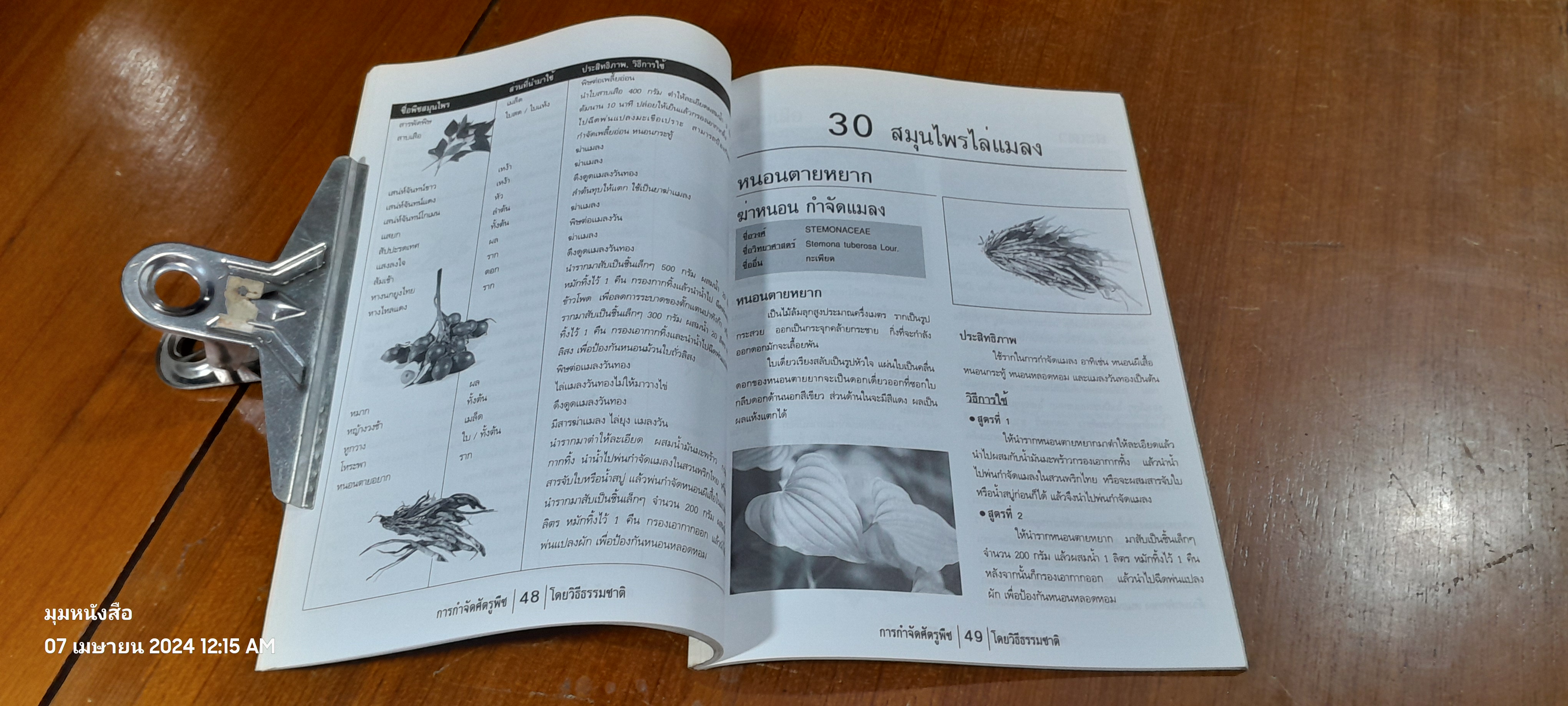 สมุนไพรไล่แมลง / เกษตรกรรมธรรมชาติ