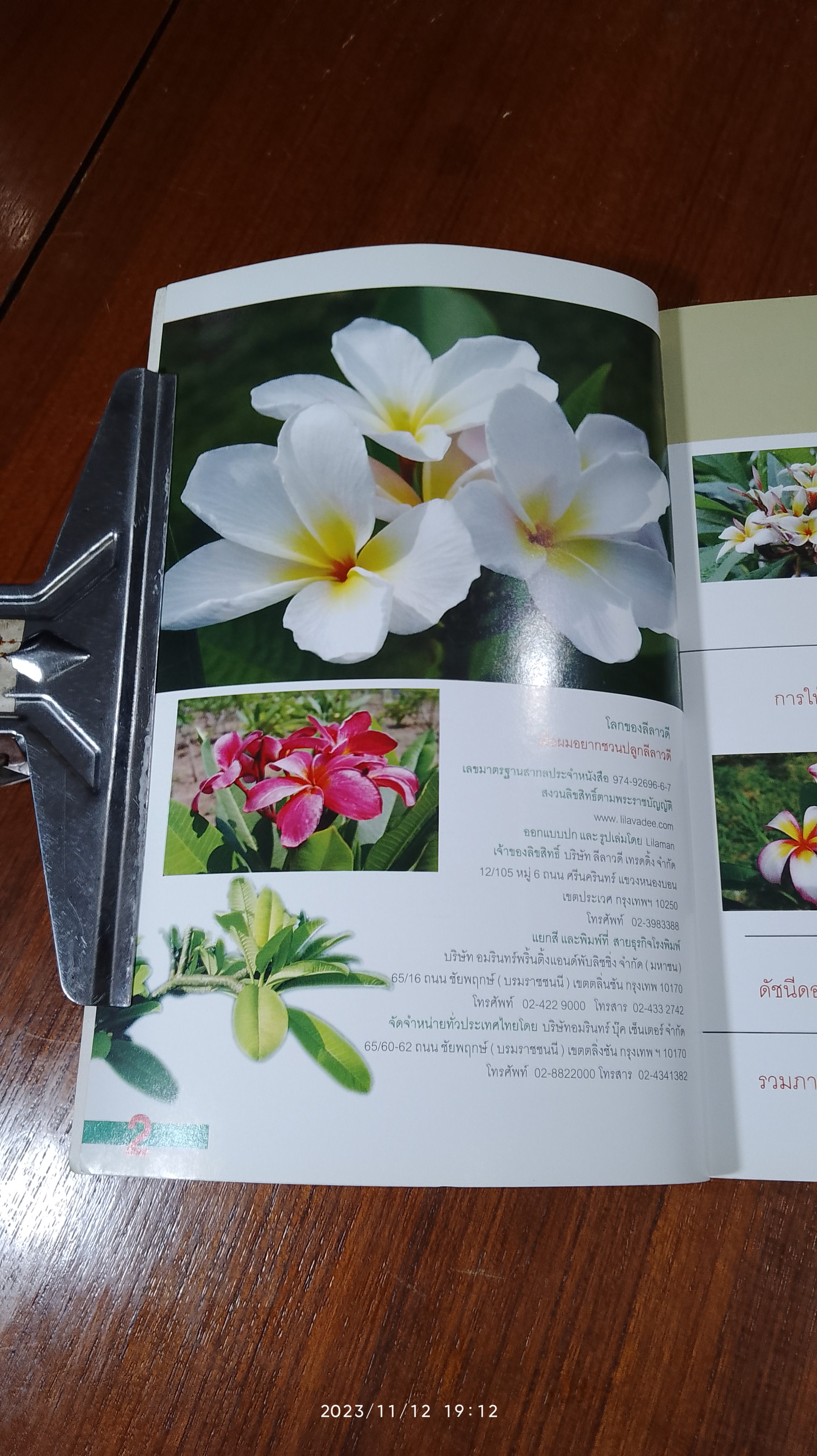 โลกชองลีลาวดี เมื่อผมอยากชวนปลูกลีลาวดี