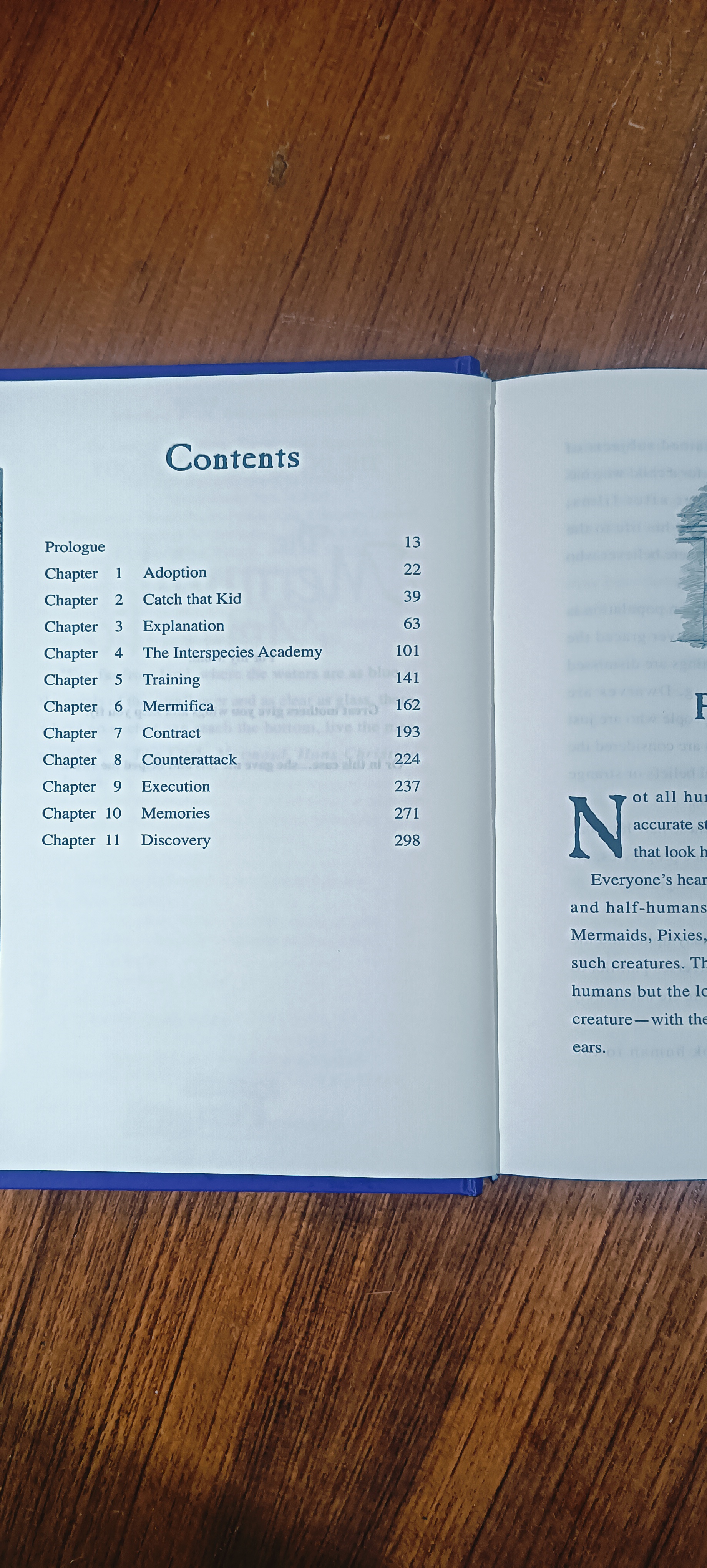 The Mermaid Apprentices / Pieretta Dawn