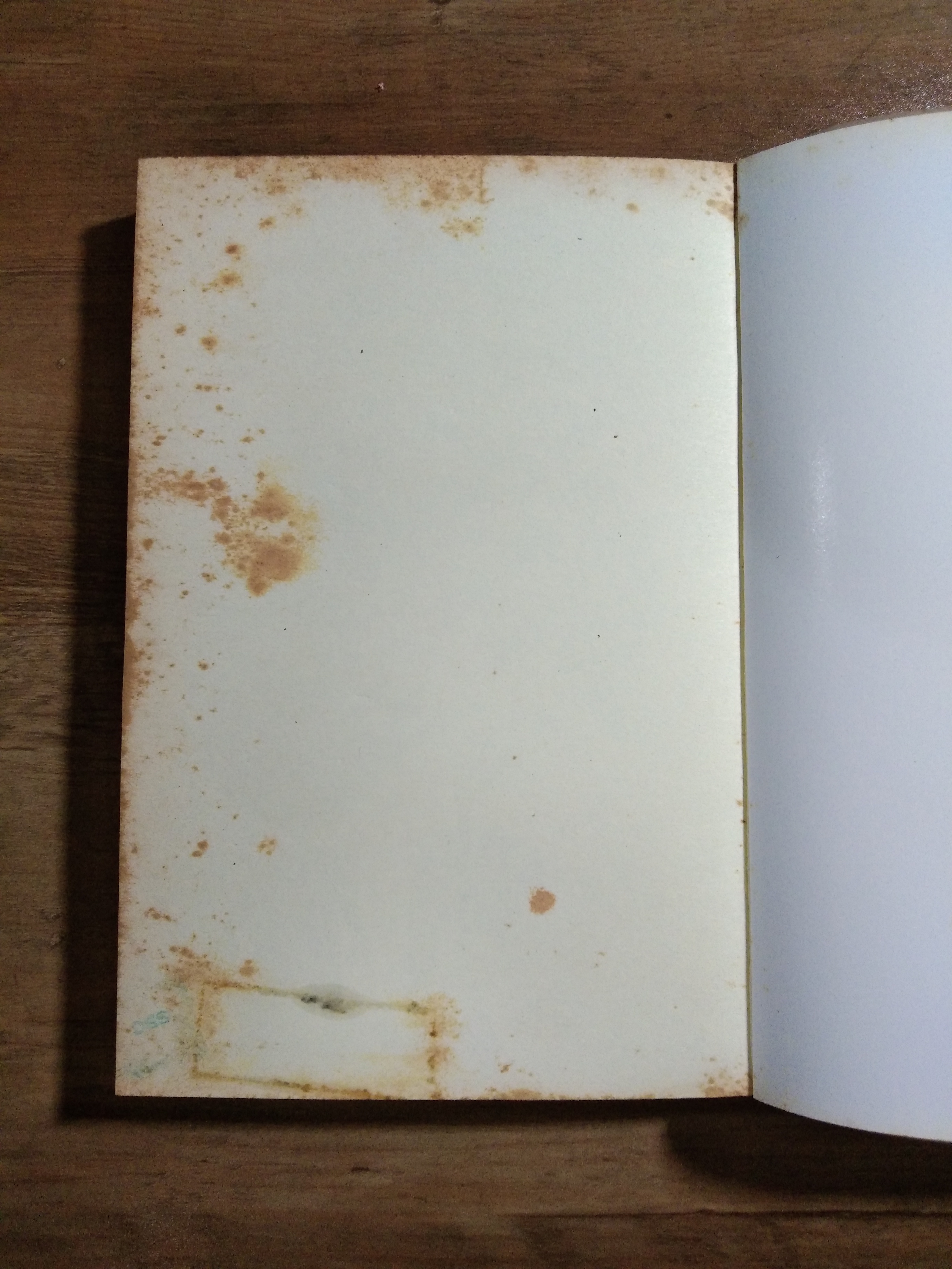 BEANSPROUT & FIREHHEAD IN THE INFINITE MADNESS / ทรงศีล ทิวสมบุญ