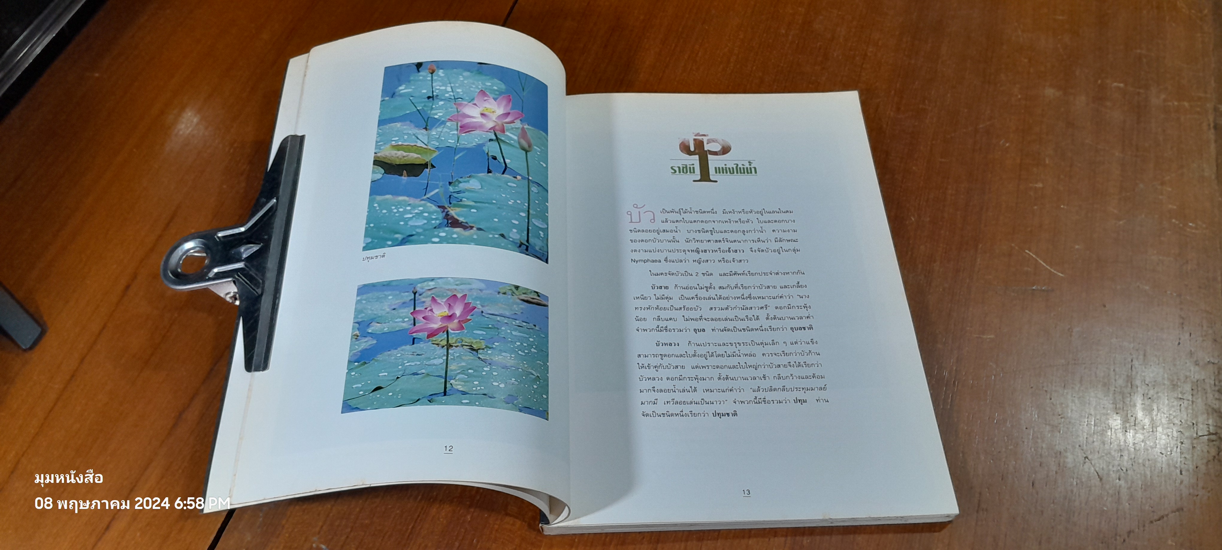 บัว ราชินีแห่งไม้น้ำ / คุณหญิงคณิตา เลขะกุล