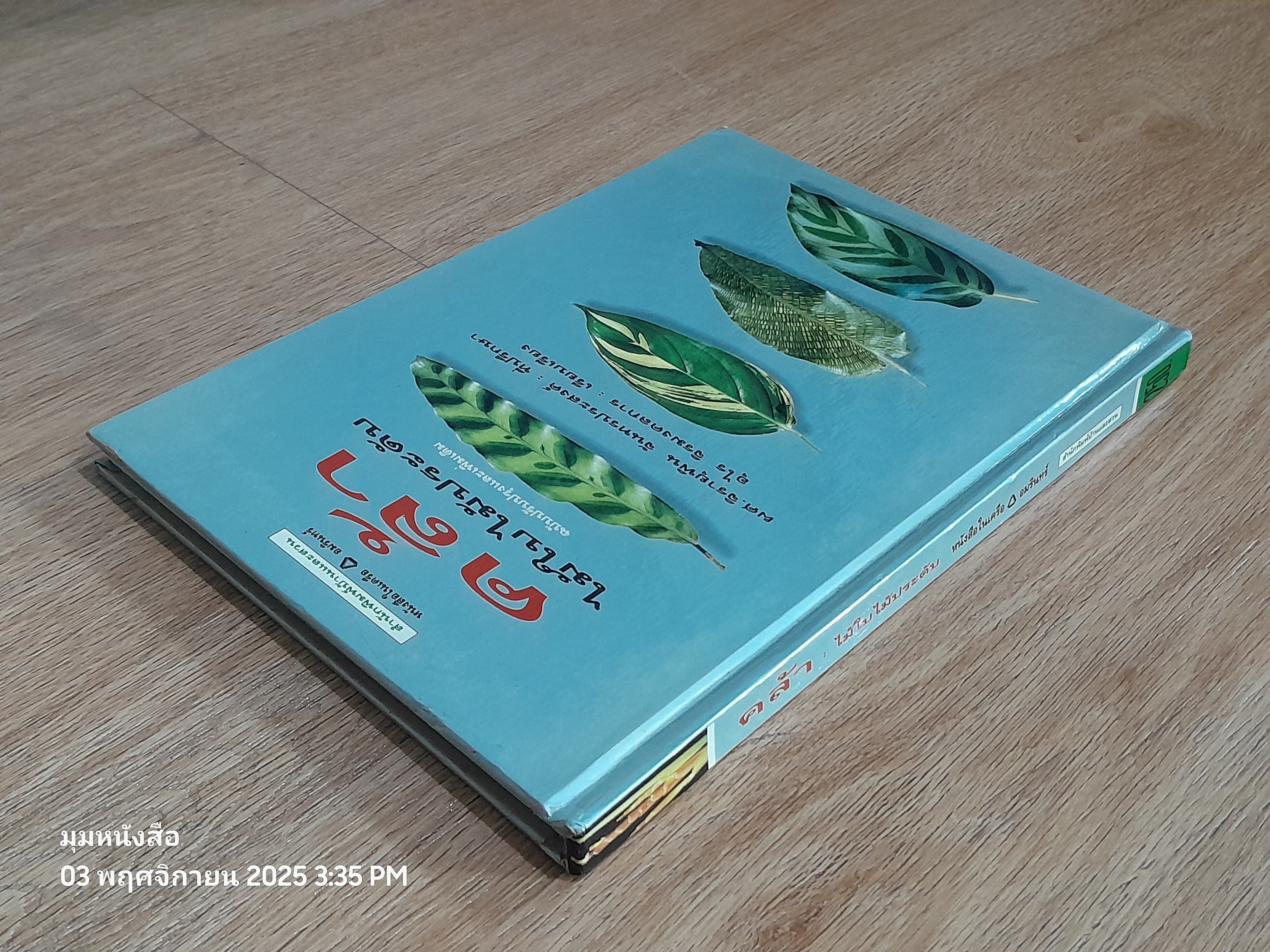 คล้า : ไม้ใบไม้ประดับ