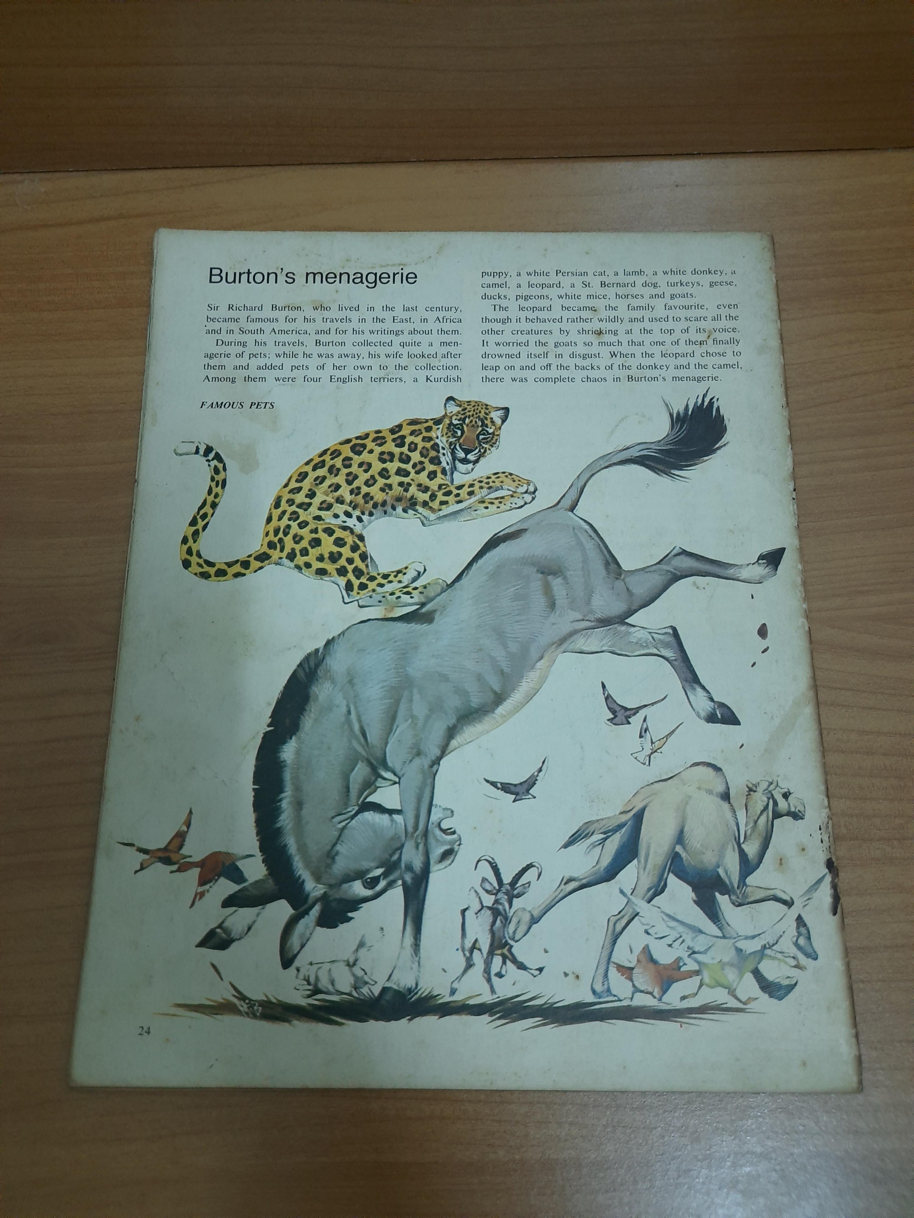 FINDING OUT Vol.13 No.12