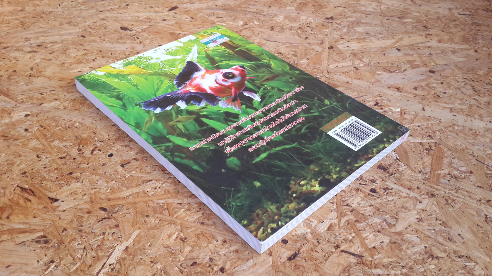 ครบเครื่องเรื่องปลาทอง