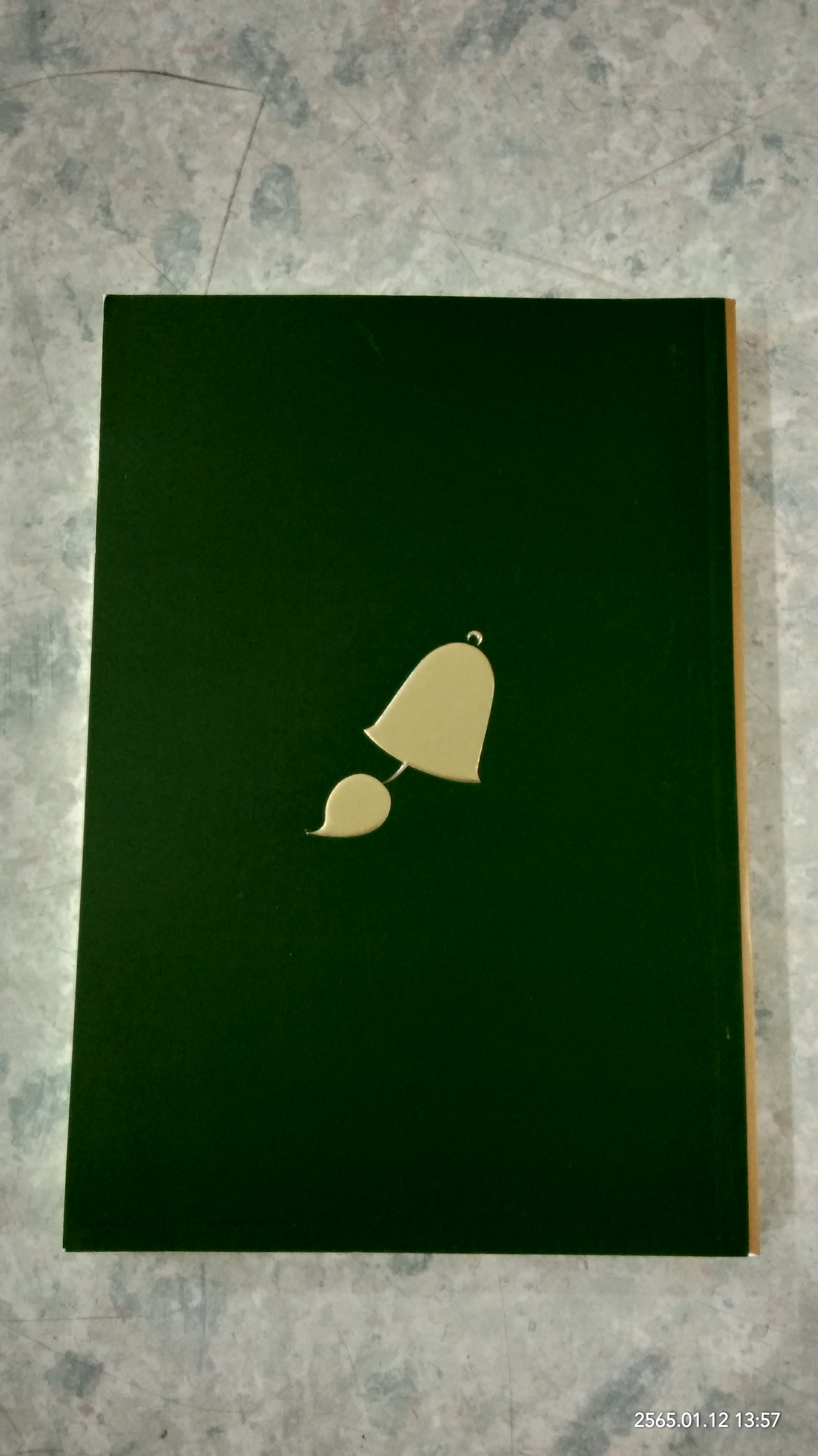 เทคนิคการเจริญวิปัสสนา ตามนัยสติปัฏฐาน / โสรโท ภิกขุ