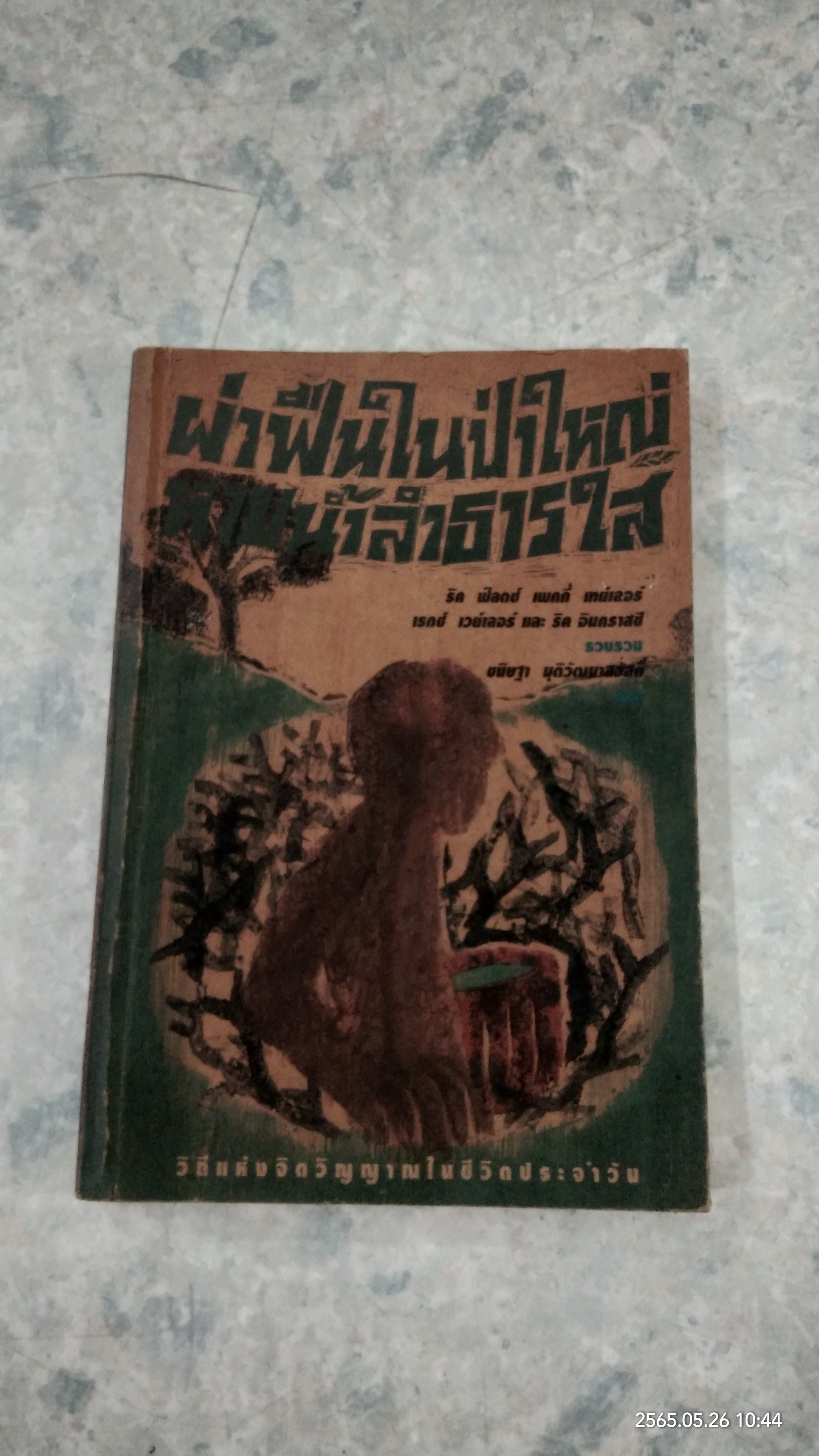ผ่าฟืนในป่าใหญ่ หาบน้ำลำธารใส / ริค ฟิลดซ์