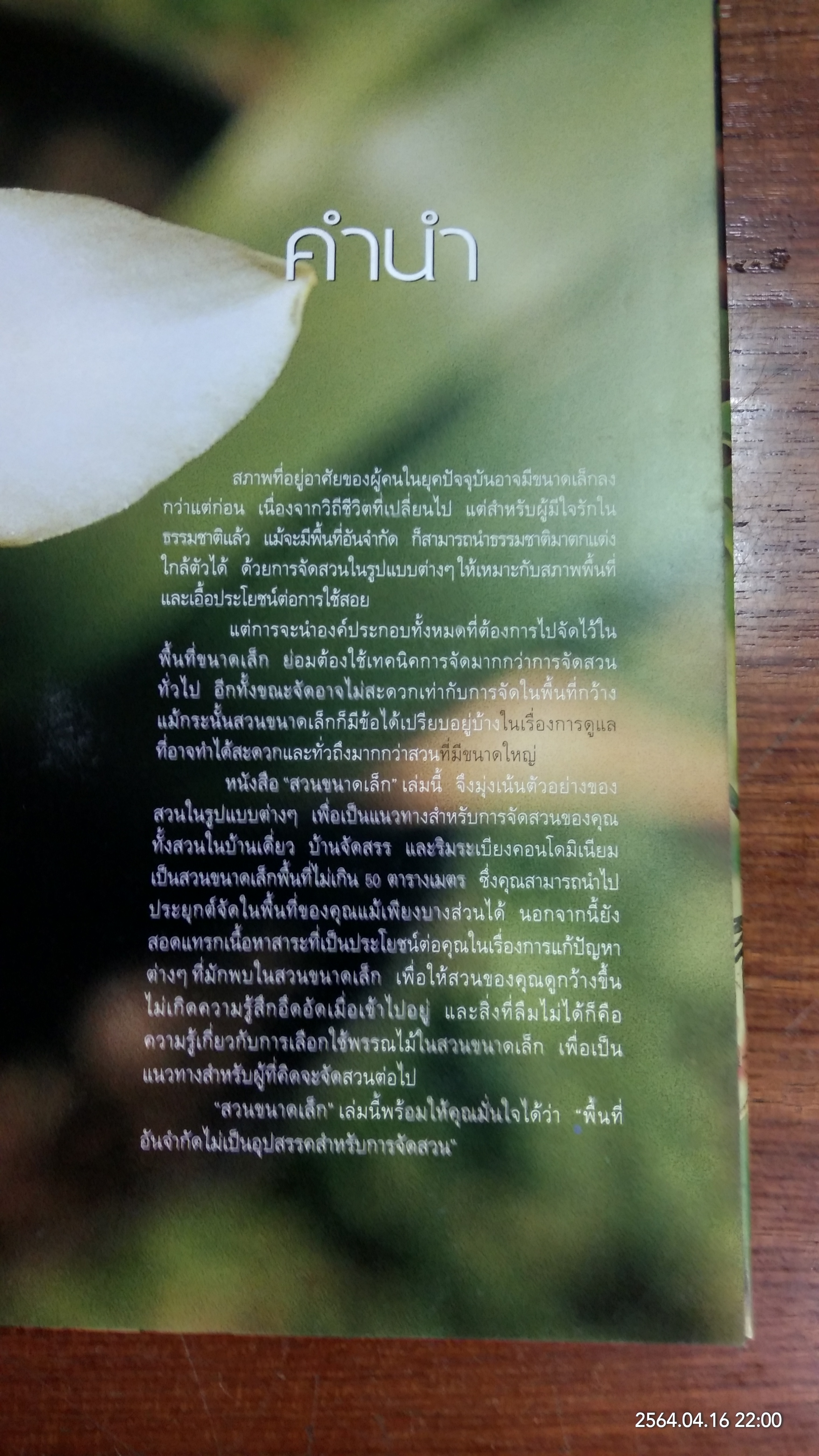 สวนในบ้าน เล่ม 12 สวนขนาดเล็ก