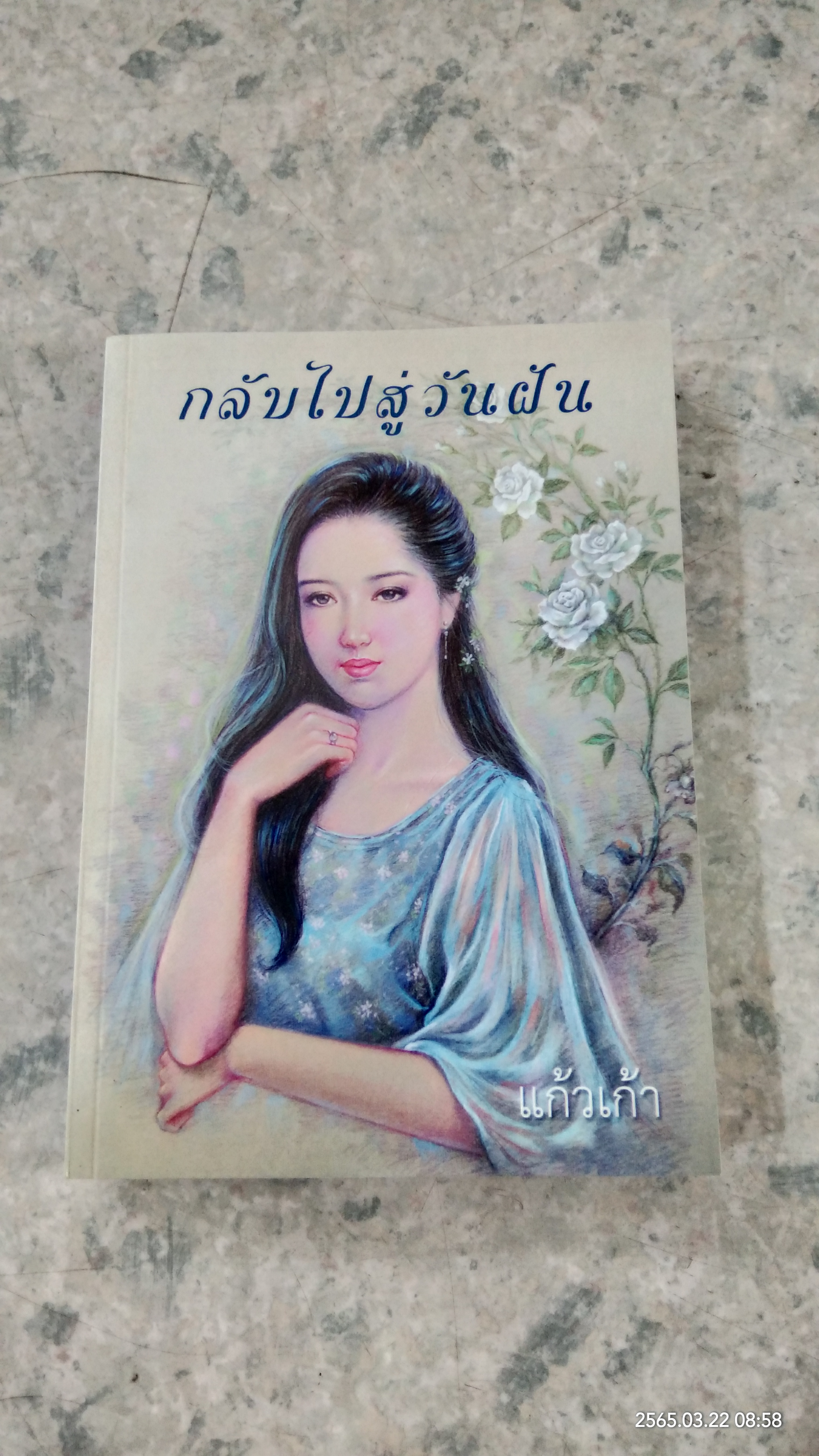 กลับไปสู่วันฝัน / แก้วเก้า